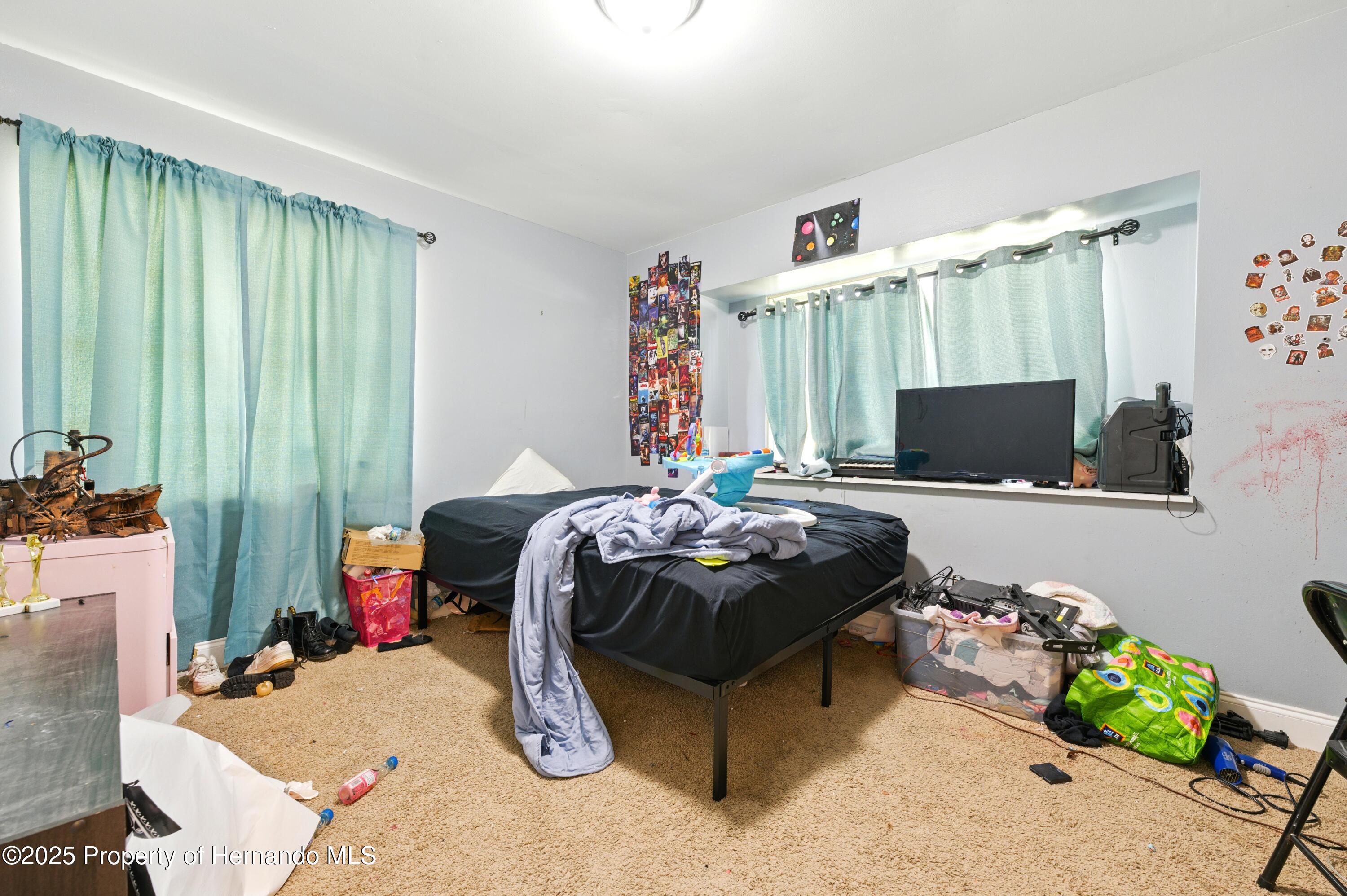 577 Waterfall Drive, Spring Hill, Florida image 22