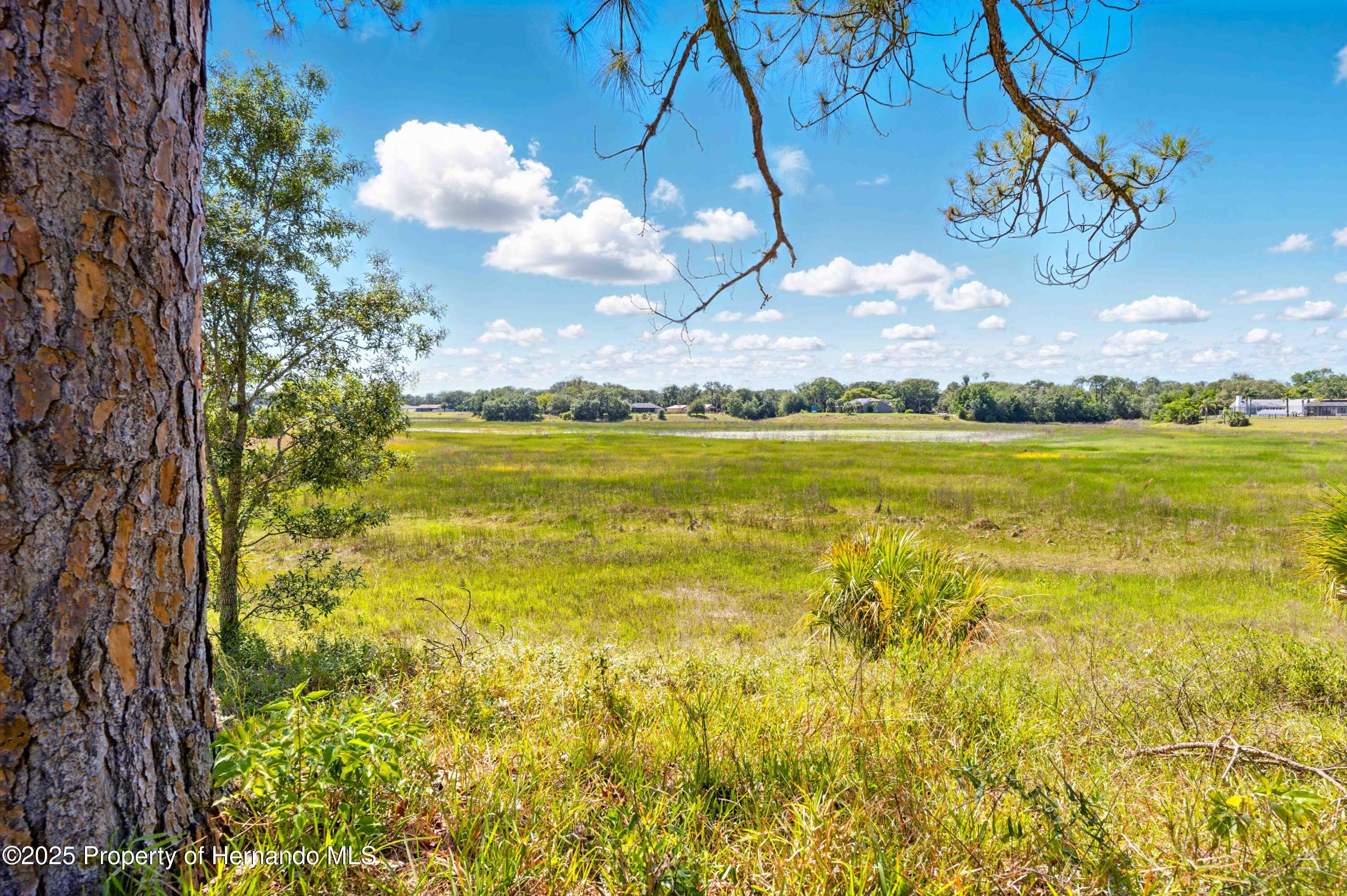 577 Waterfall Drive, Spring Hill, Florida image 14