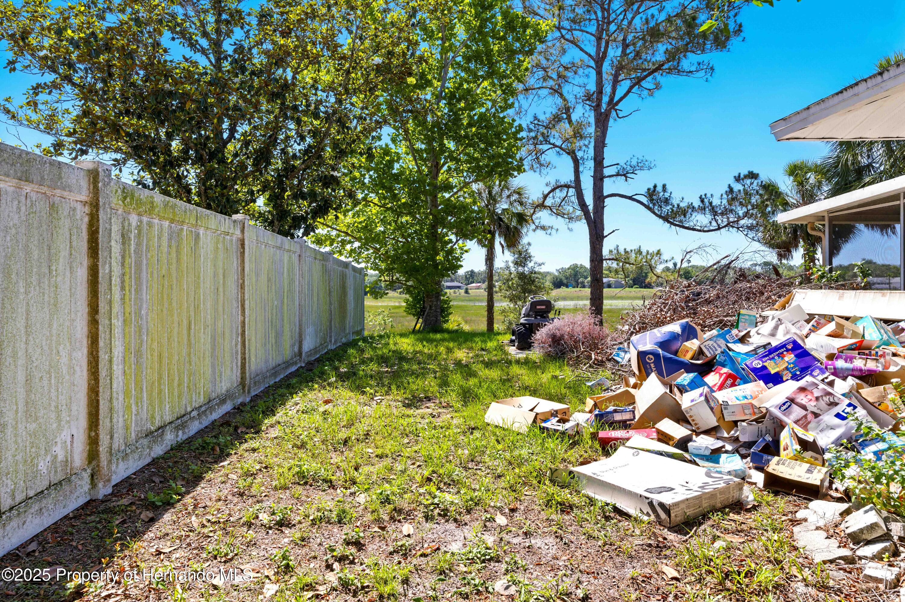 577 Waterfall Drive, Spring Hill, Florida image 12