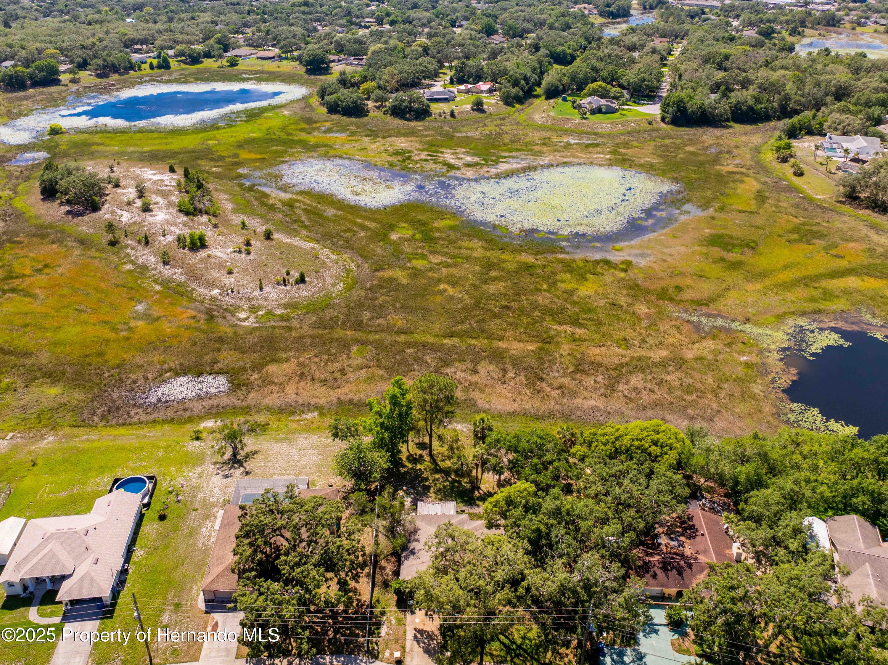 577 Waterfall Drive, Spring Hill, Florida image 6