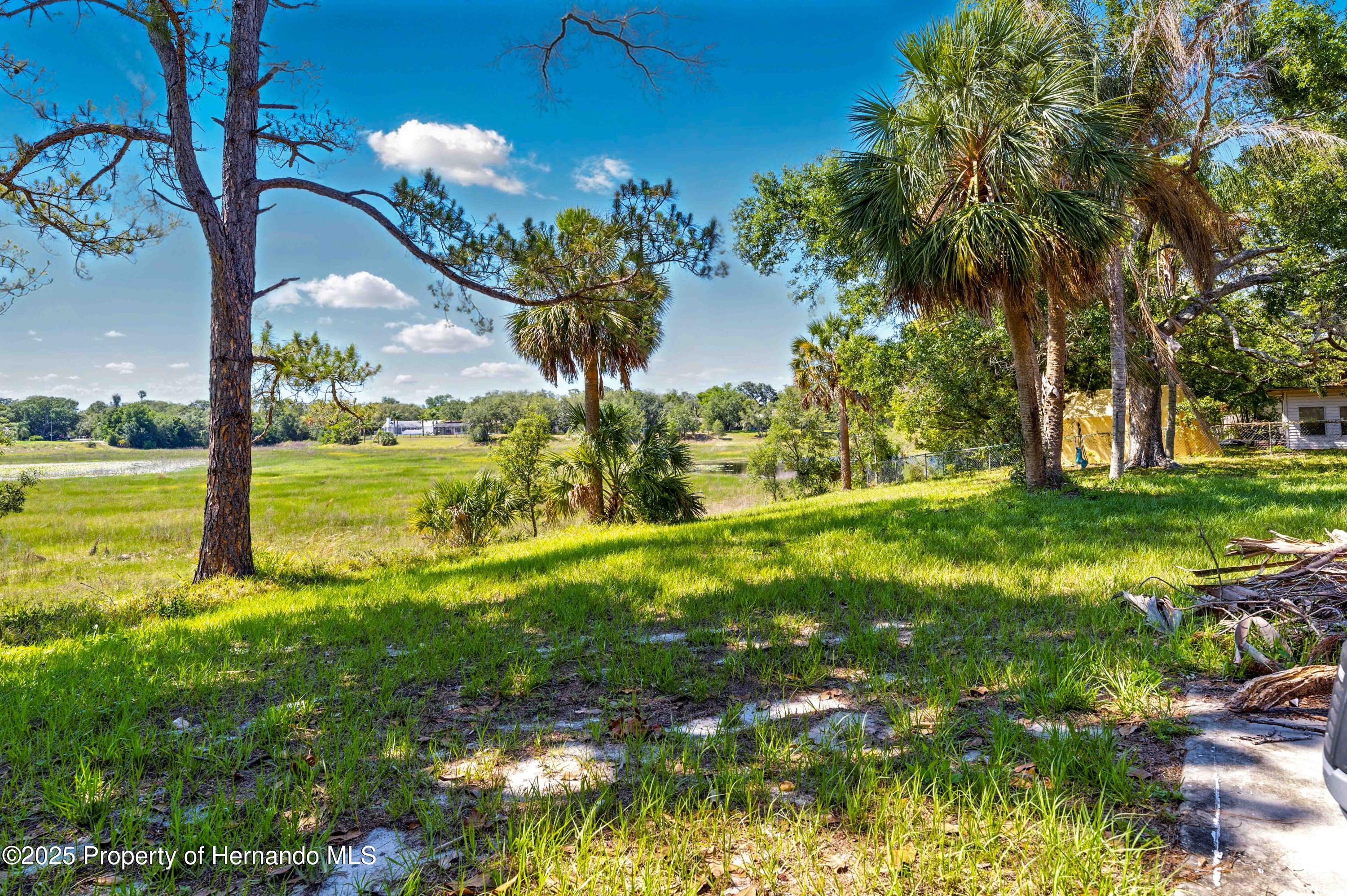 577 Waterfall Drive, Spring Hill, Florida image 13
