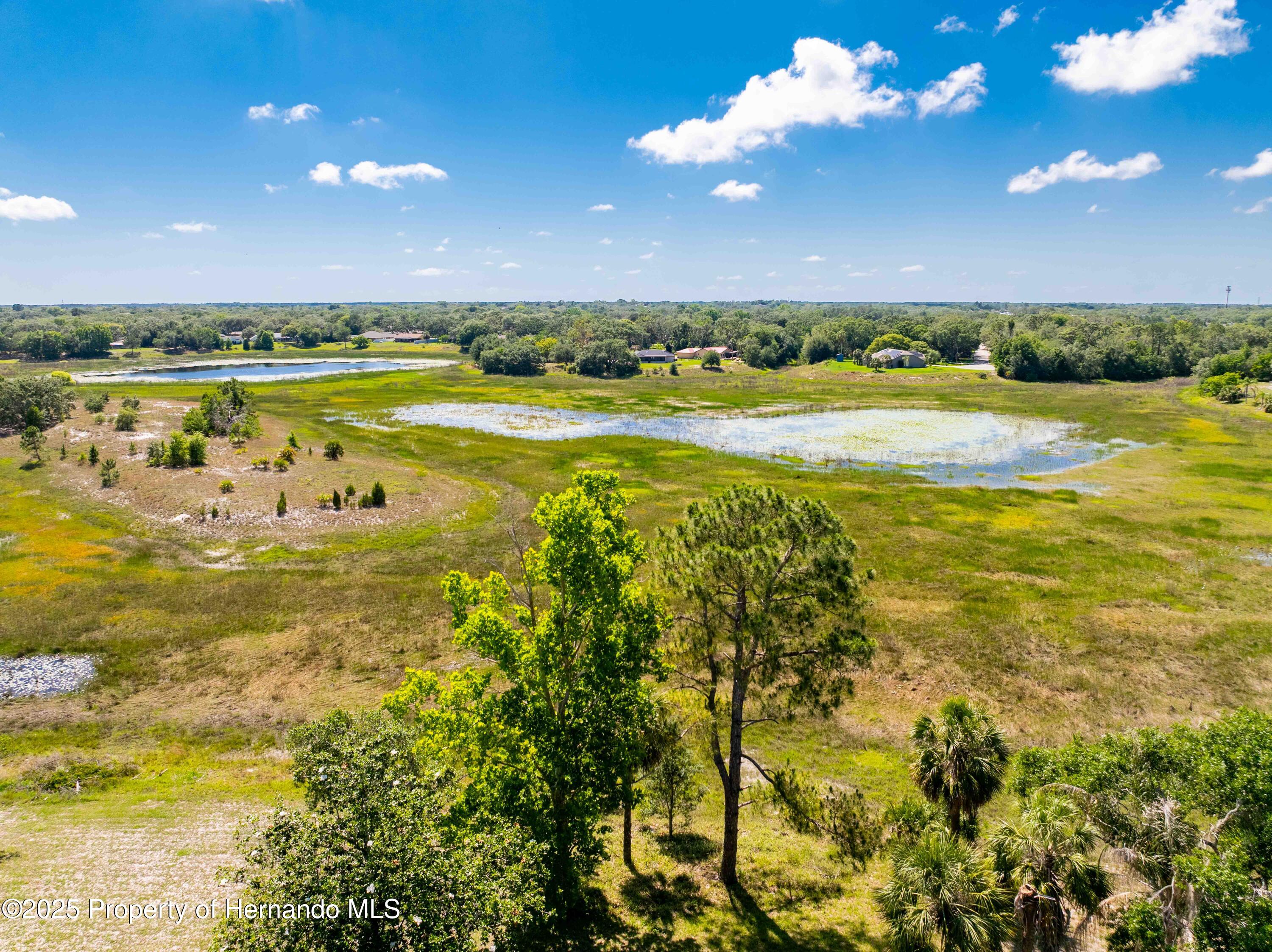 577 Waterfall Drive, Spring Hill, Florida image 2