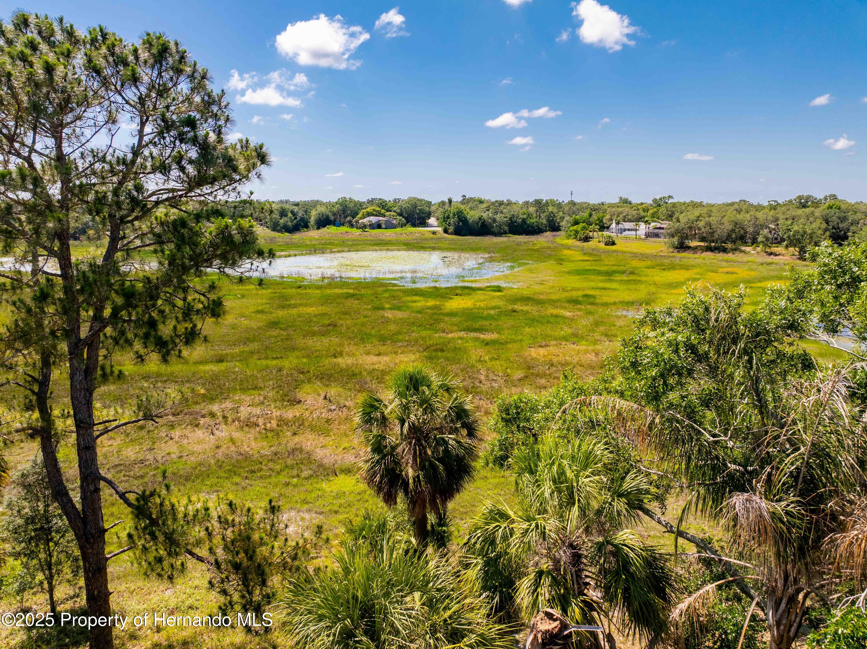 577 Waterfall Drive, Spring Hill, Florida image 9