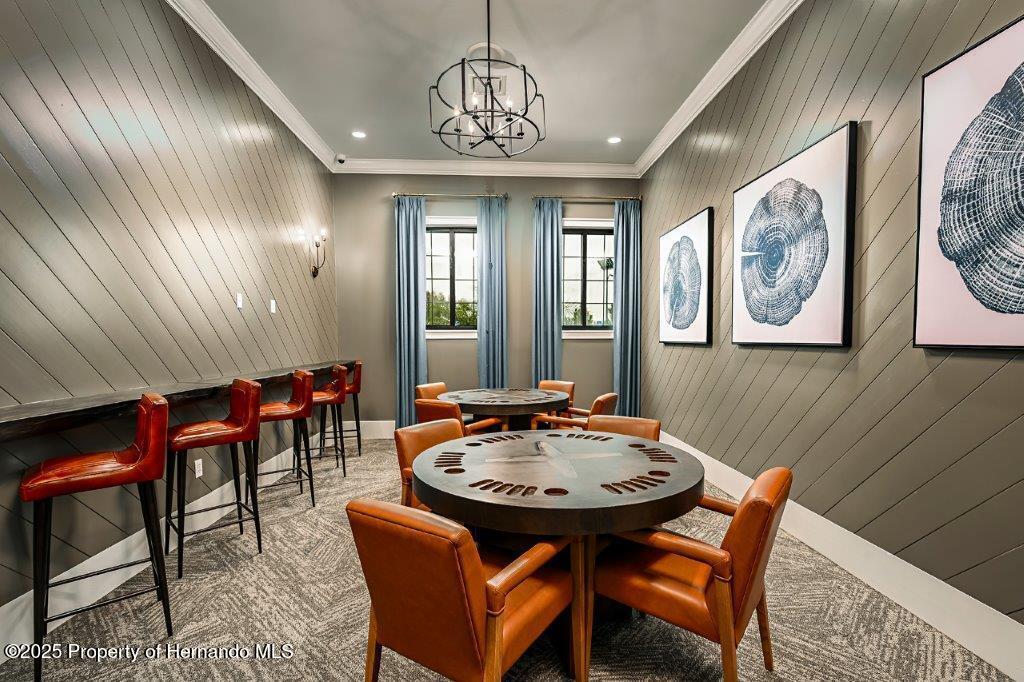 17238 Tortoise Crown Boulevard, LAND O LAKES, Florida image 38