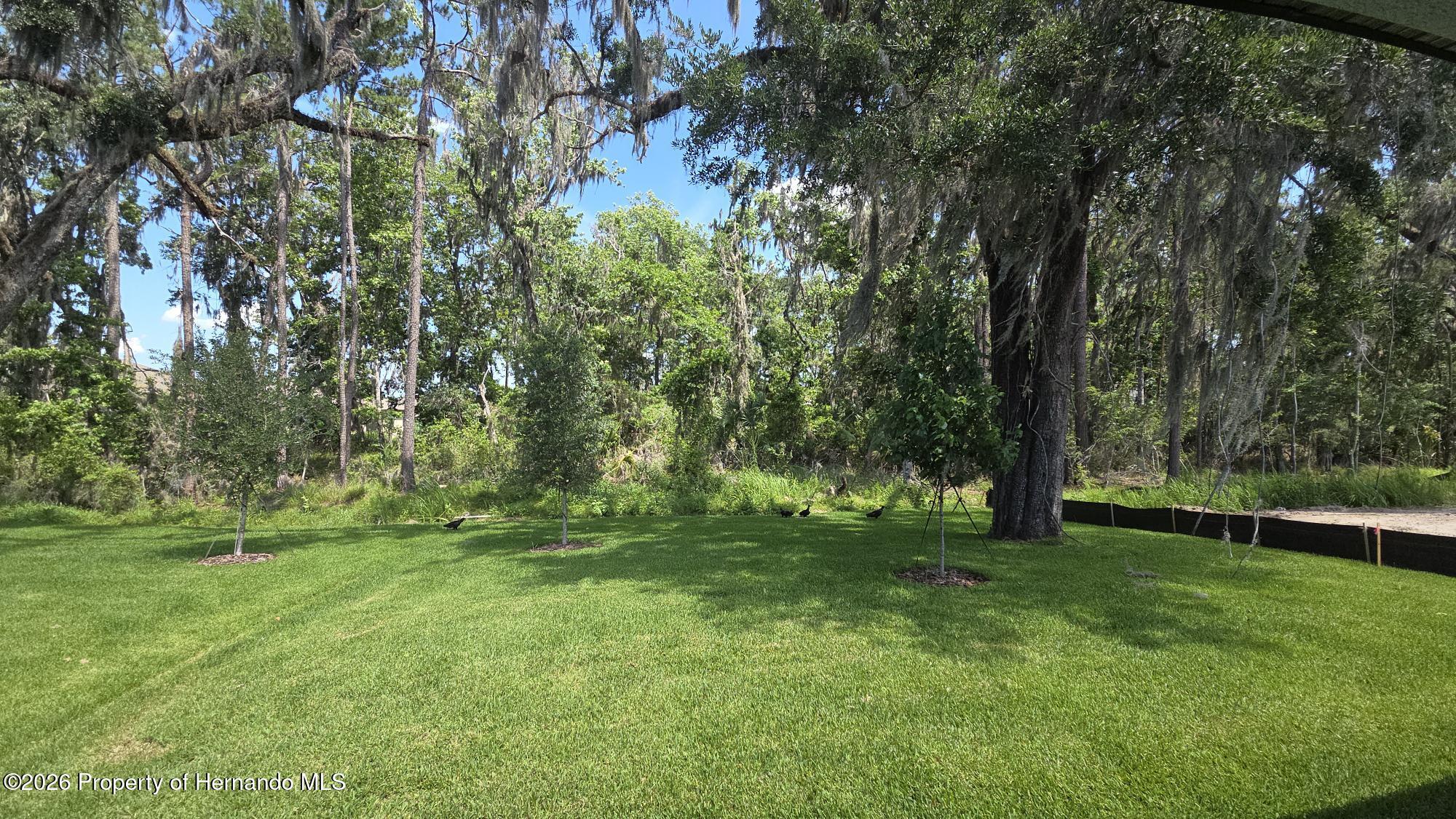 19451 Forest Garden Court