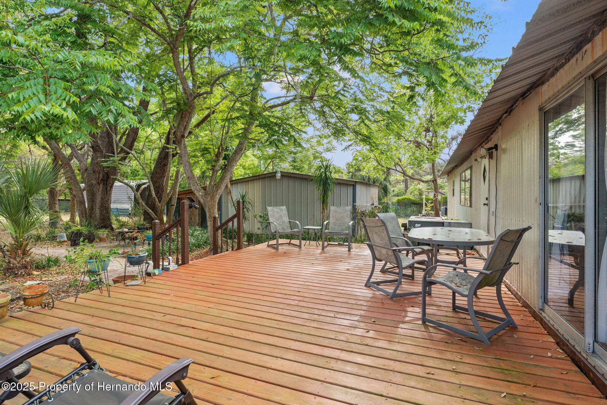 11326 Minnieola Drive, New Port Richey, Florida image 14