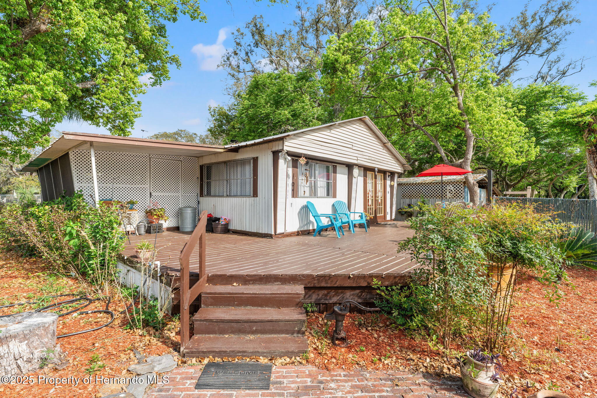 11326 Minnieola Drive, New Port Richey, Florida image 4