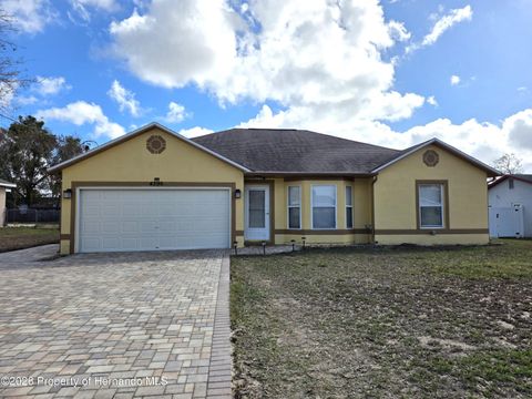 Homes For Sale - 4396 Lamson Avenue<br/> Spring Hill, FL 34608