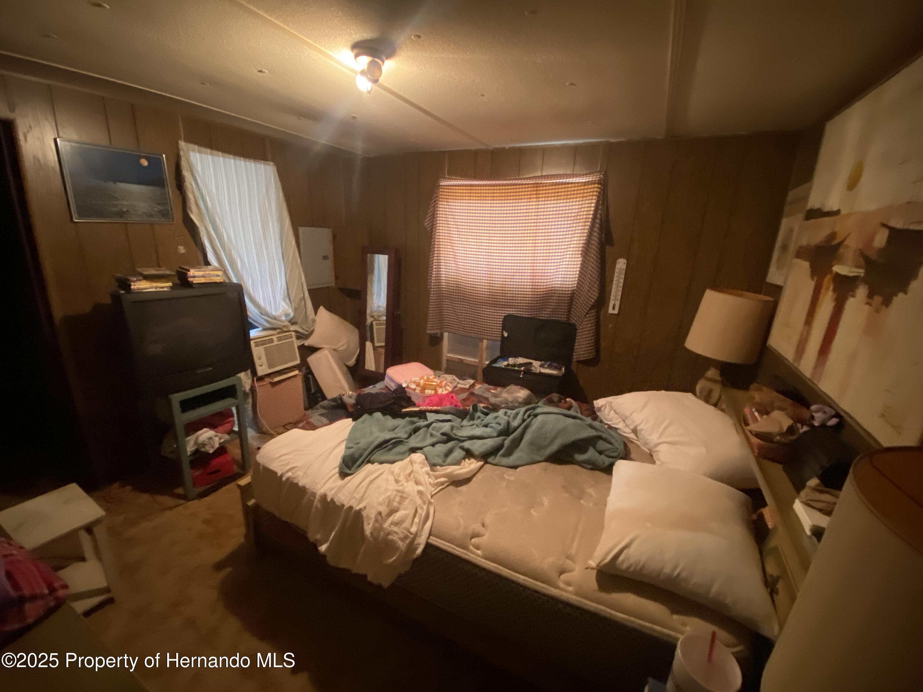 29211 Heckleman Street, Brooksville, Florida image 13