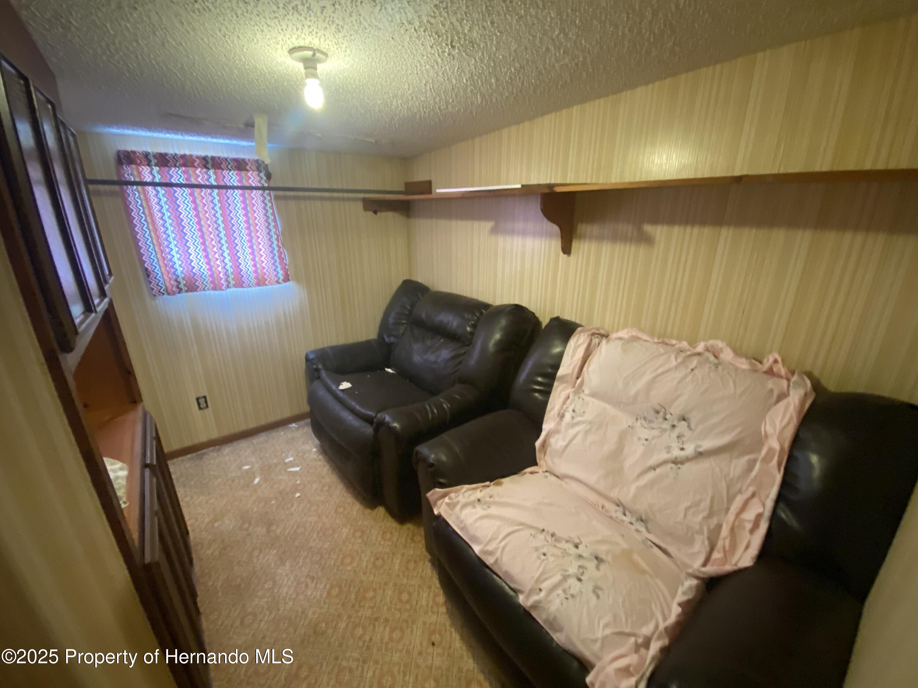 29211 Heckleman Street, Brooksville, Florida image 11