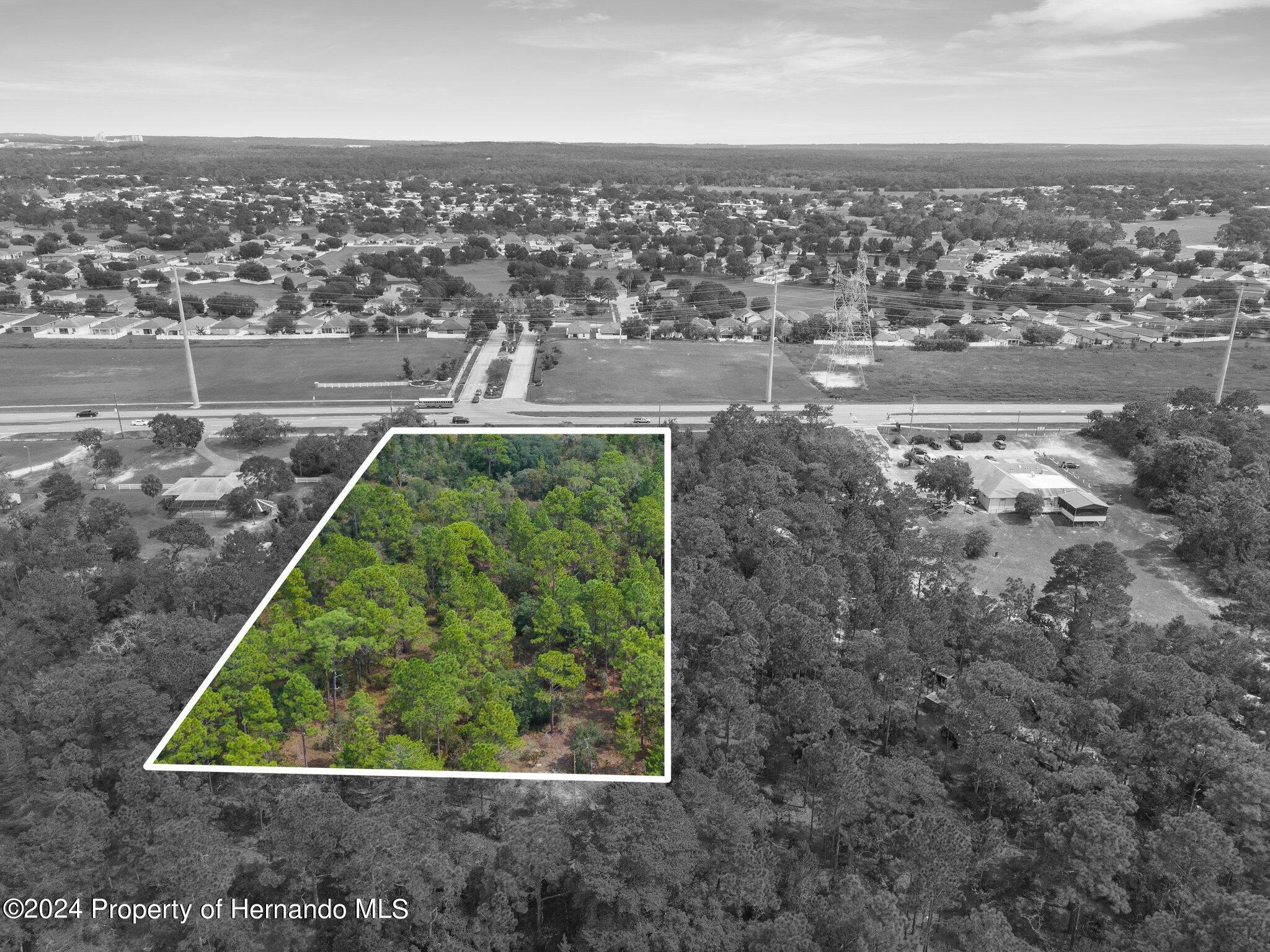 Sunshine Grove Road, Brooksville, Florida image 7