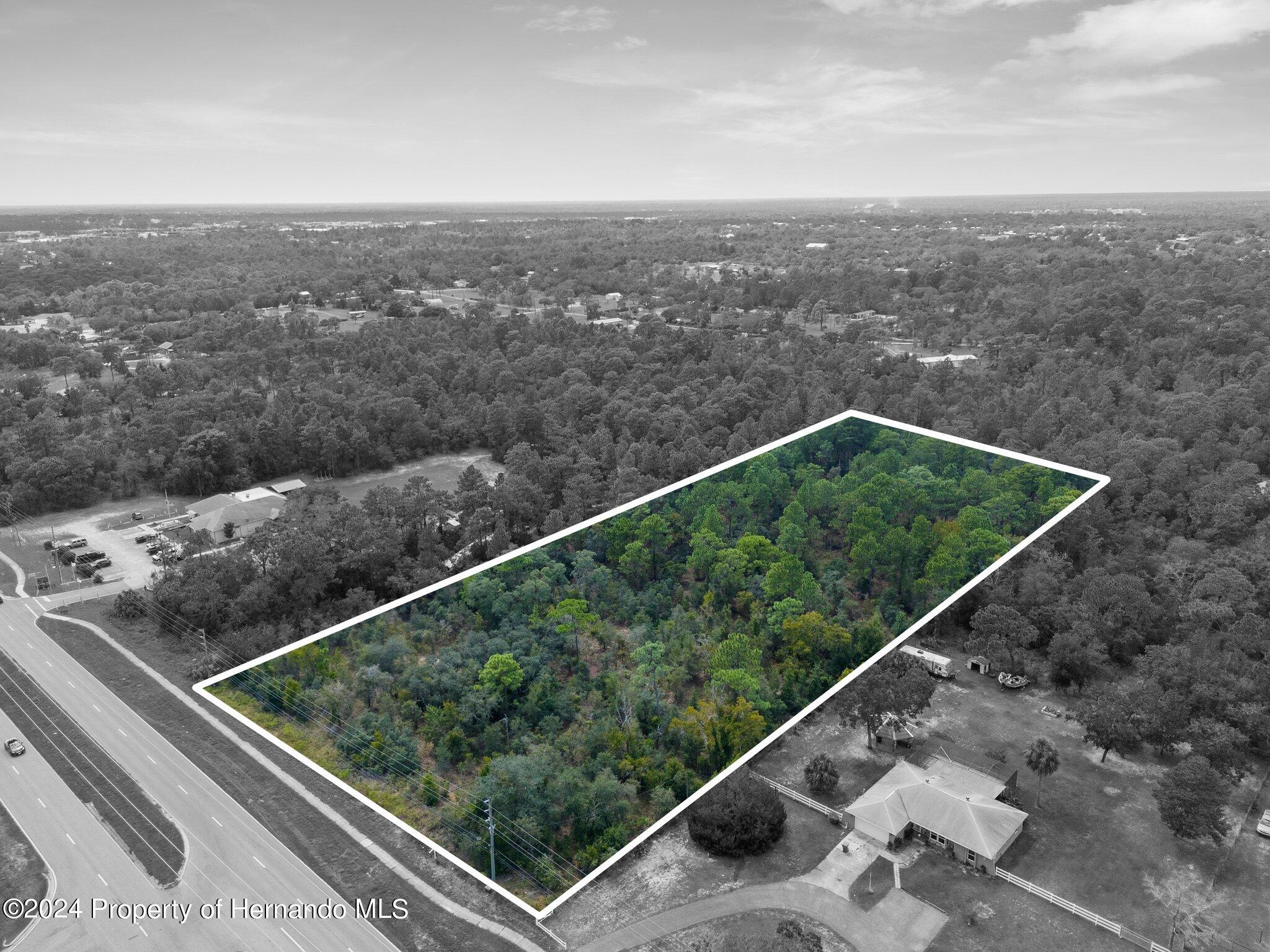 Sunshine Grove Road, Brooksville, Florida image 6
