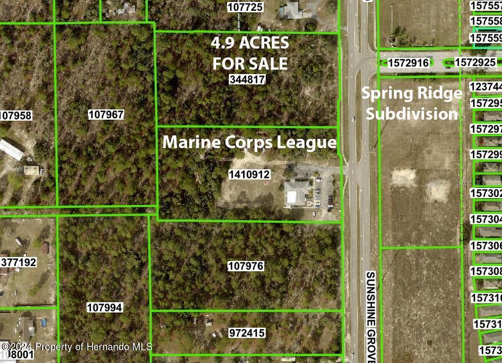 Sunshine Grove Road, Brooksville, Florida image 1