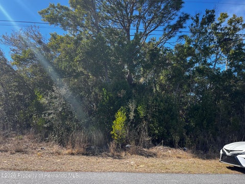 Vacant Land For Sale - 2293 Marietta Avenue<br/> Spring Hill, FL 34608