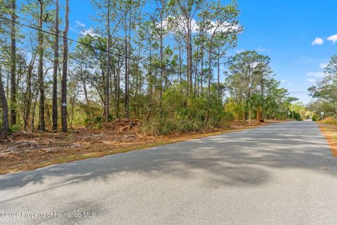 Vacant Land For Sale - 9142 Michigan Avenue<br/> Spring Hill, FL 34613