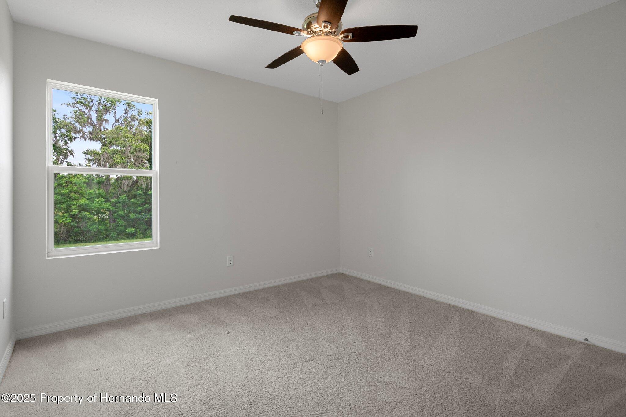 13919 Wineberry Drive, Dade City, Florida image 37