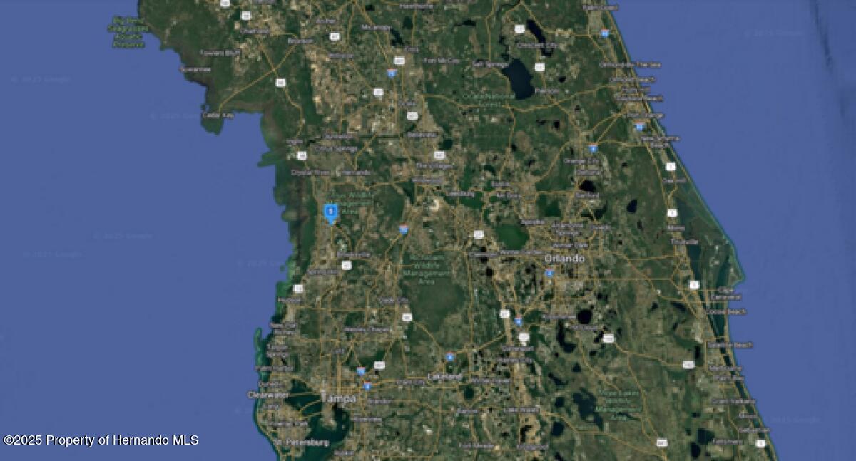 16445 Curlew Road, Brooksville, Florida image 5