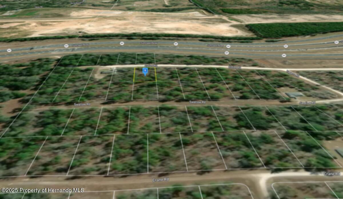 16445 Curlew Road, Brooksville, Florida image 3