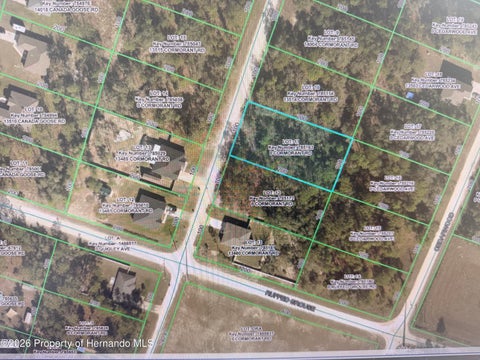 Vacant Land For Sale - Cormorant Road<br/> Weeki Wachee, FL 34614