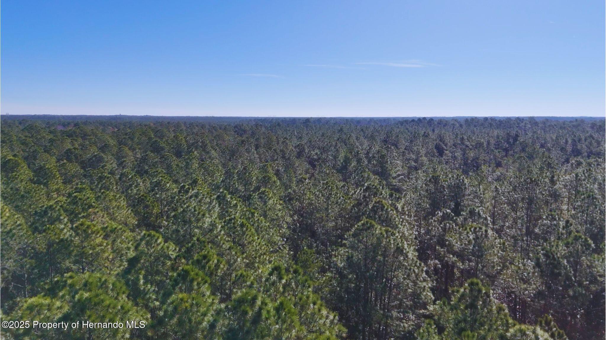 Old Train Road, Deltona, Florida image 5