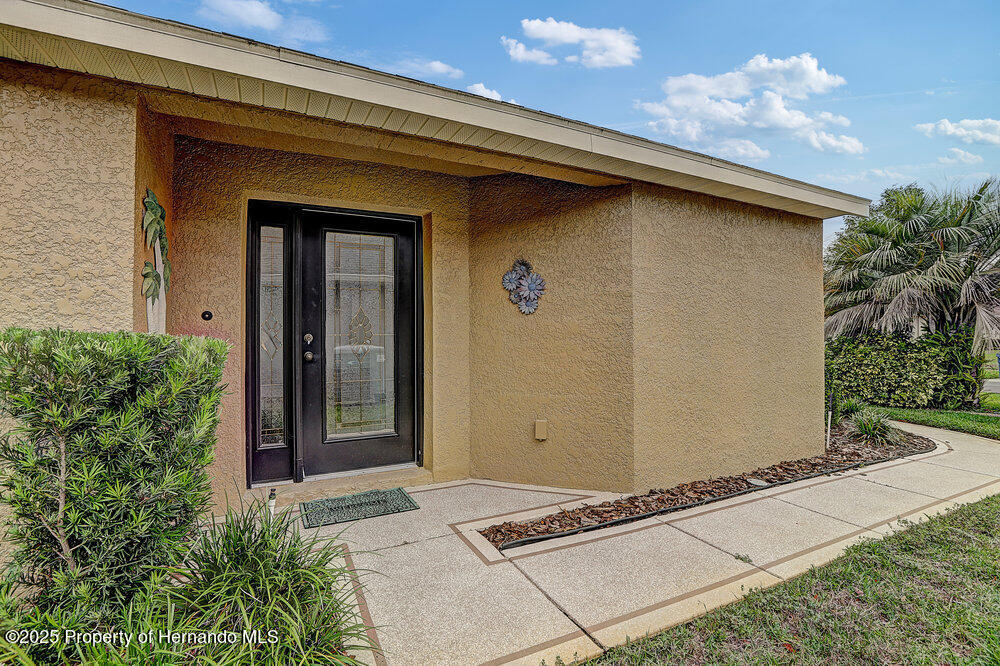 12004 Valley Falls Loop, Spring Hill, Florida image 3