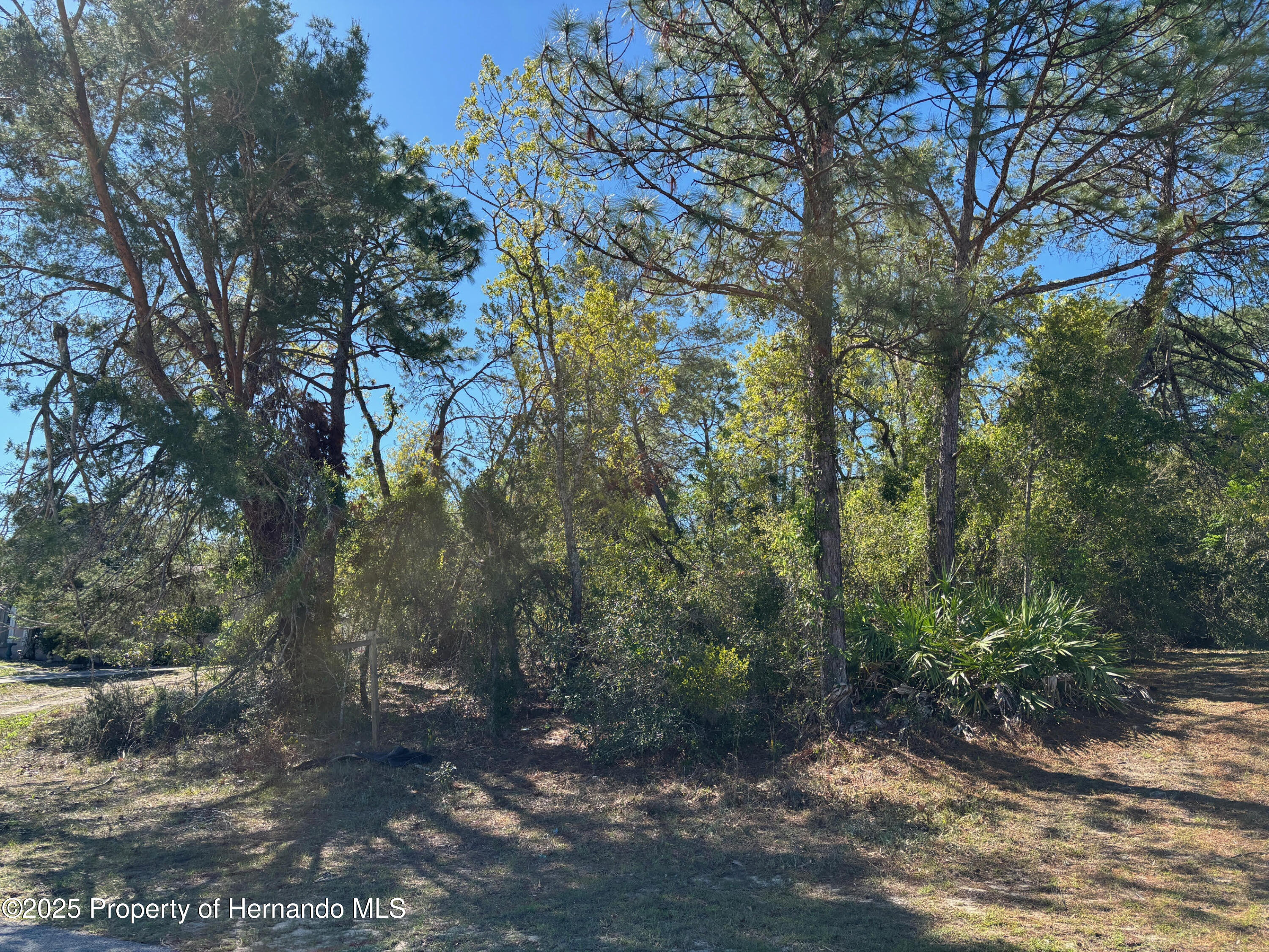 Lot 16 Pendleton Street, Spring Hill, Florida image 4