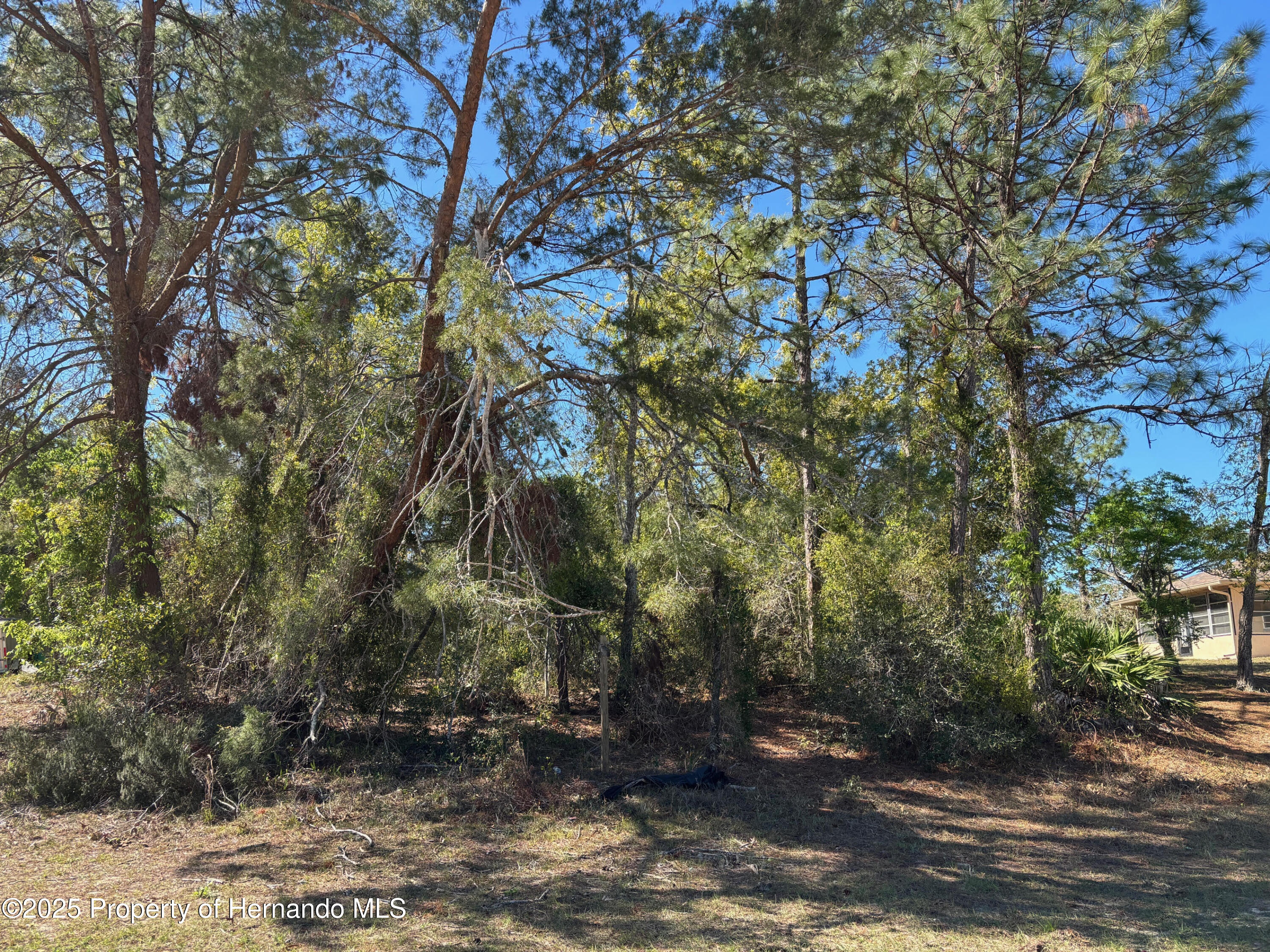 Lot 16 Pendleton Street, Spring Hill, Florida image 2