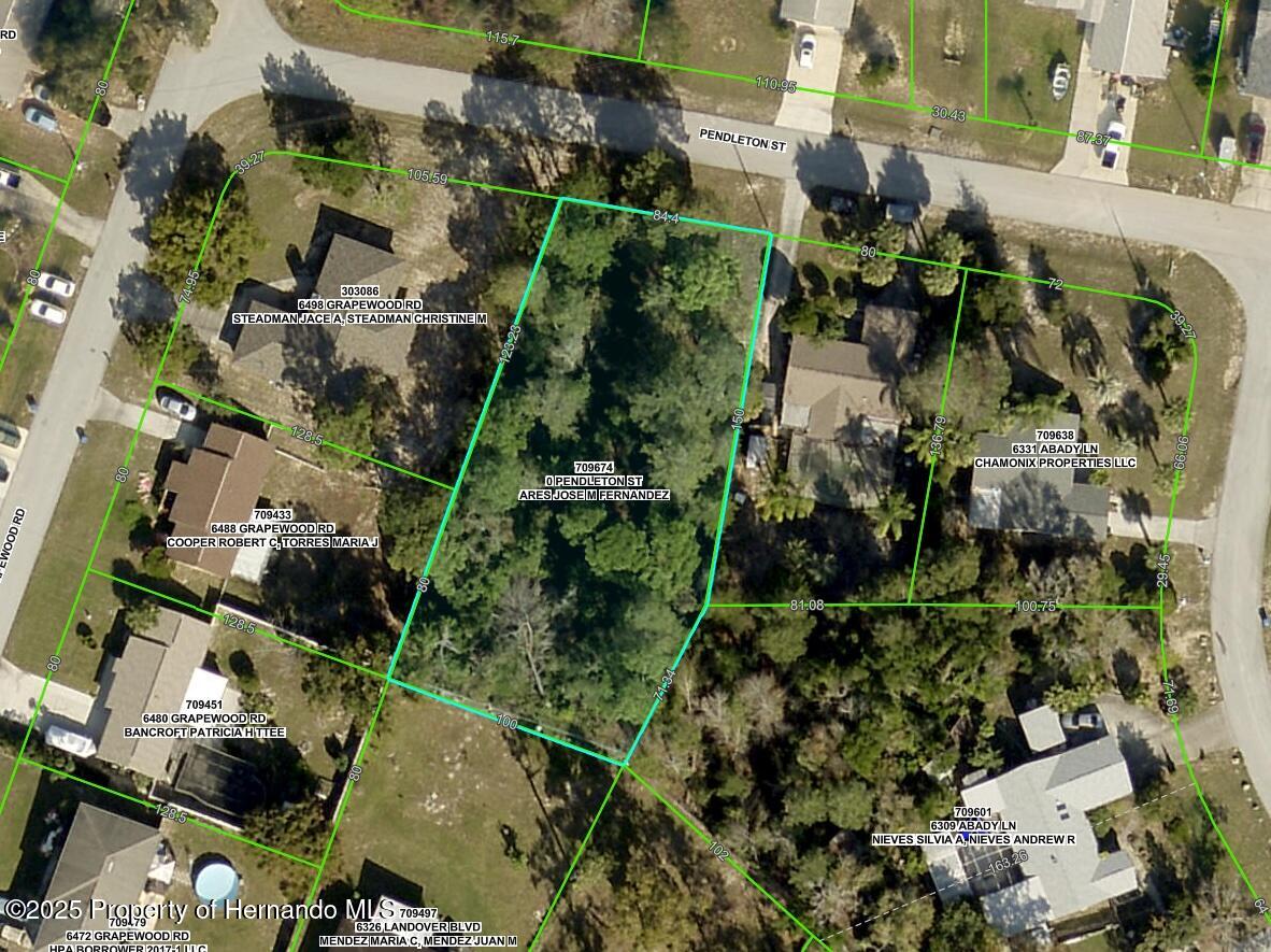 Lot 16 Pendleton Street, Spring Hill, Florida image 1