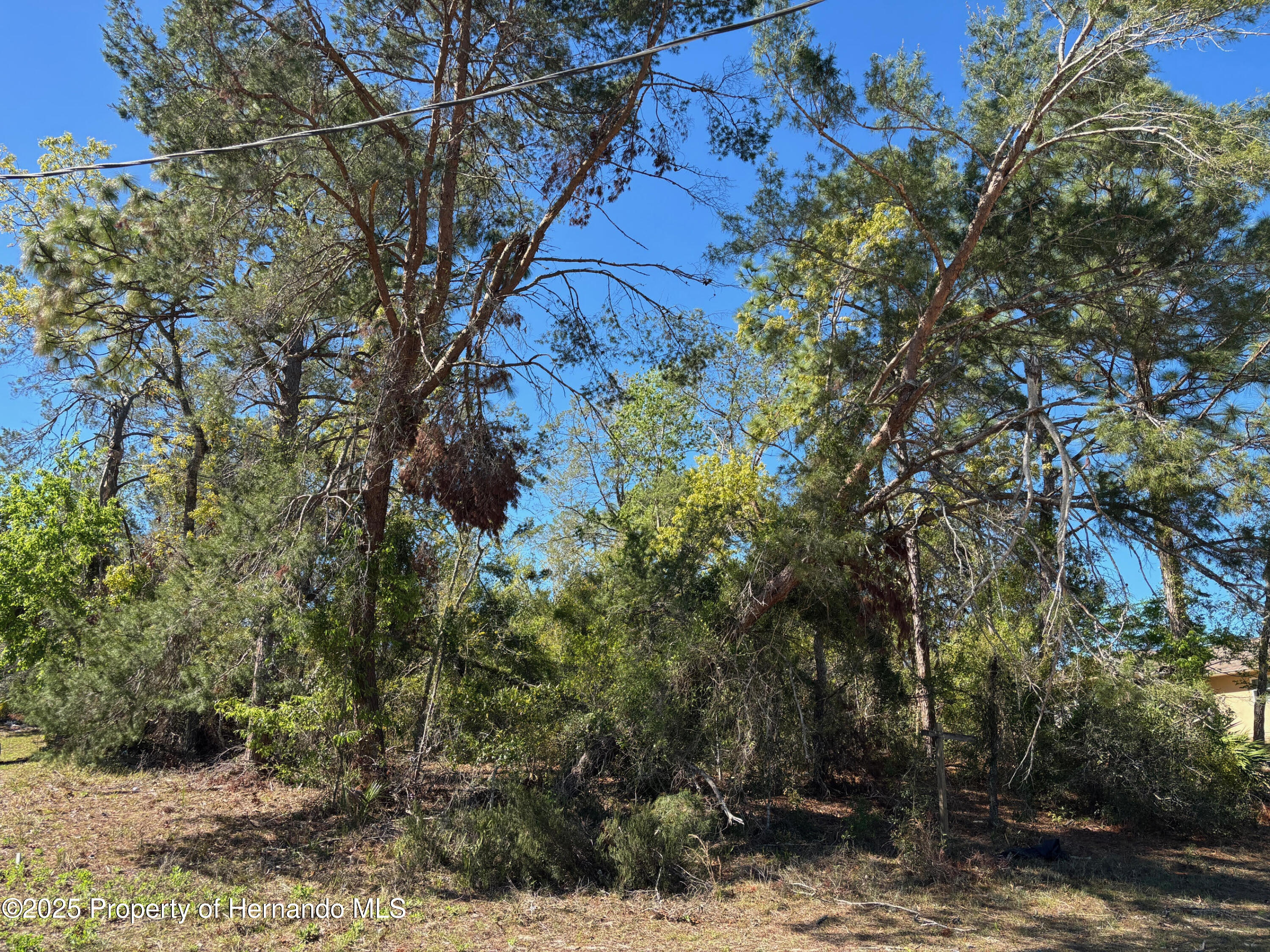 Lot 16 Pendleton Street, Spring Hill, Florida image 3