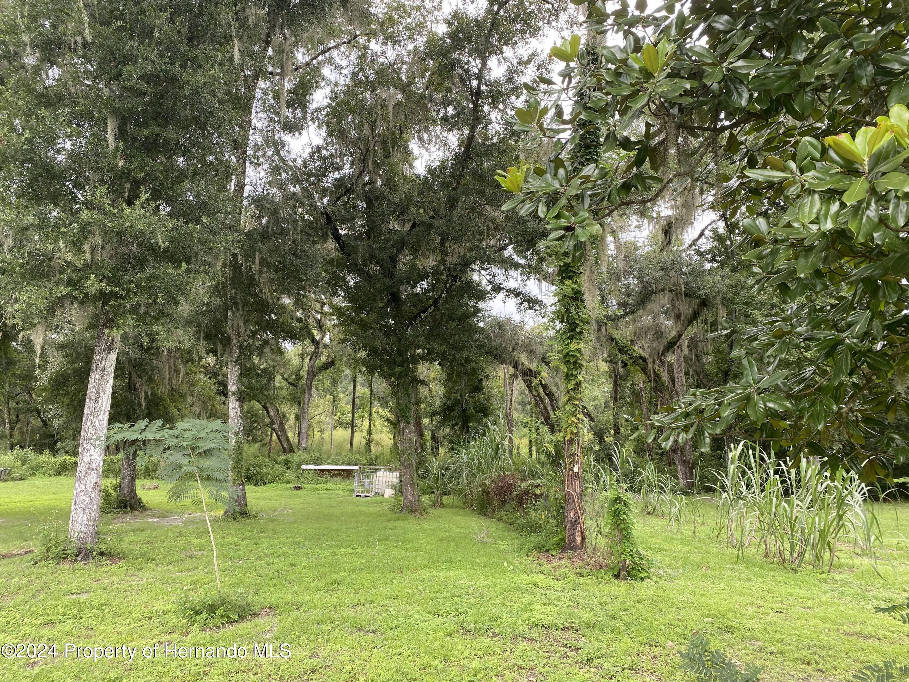 16185 Snow Memorial Highway, Brooksville, Florida image 7