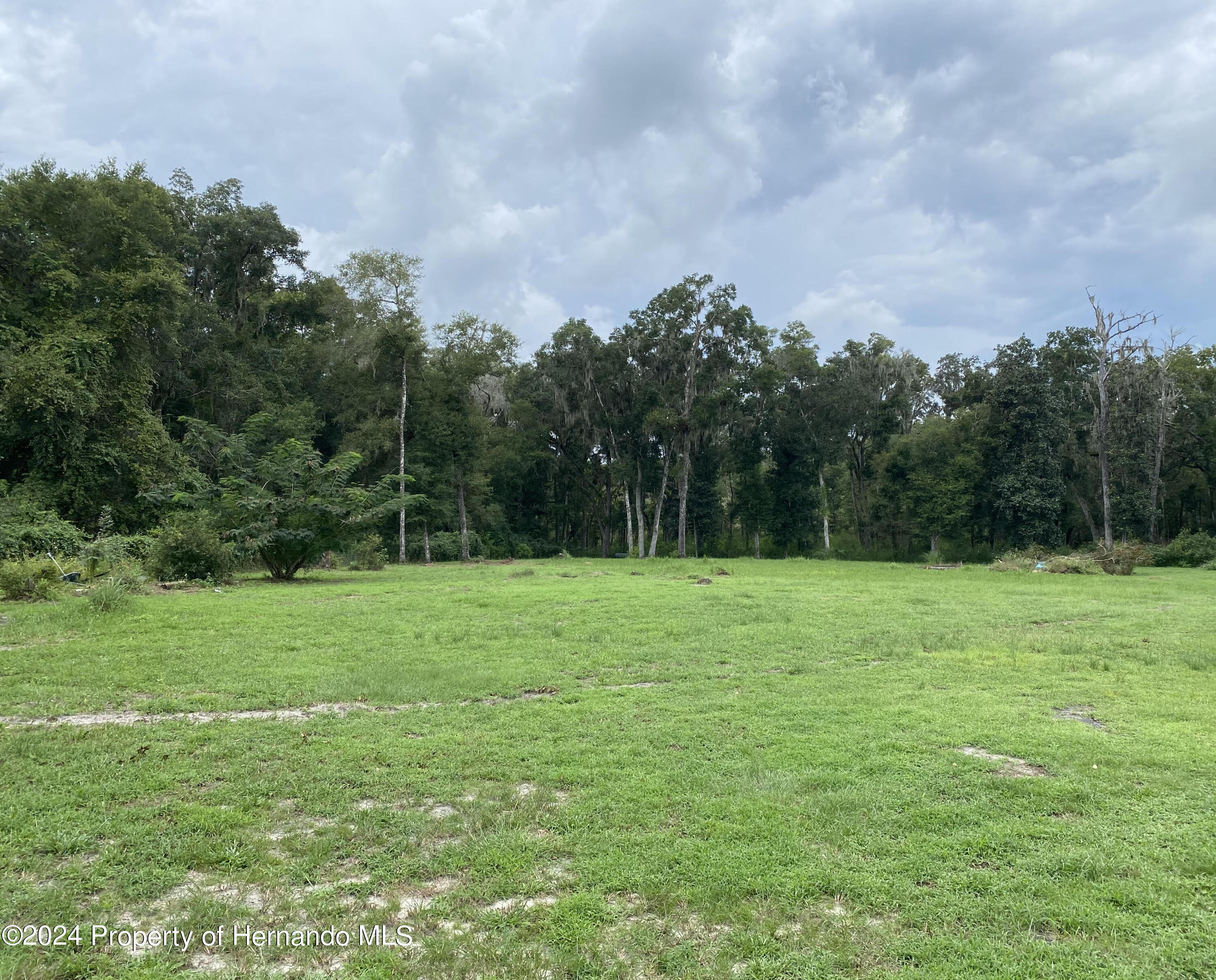 16185 Snow Memorial Highway, Brooksville, Florida image 5