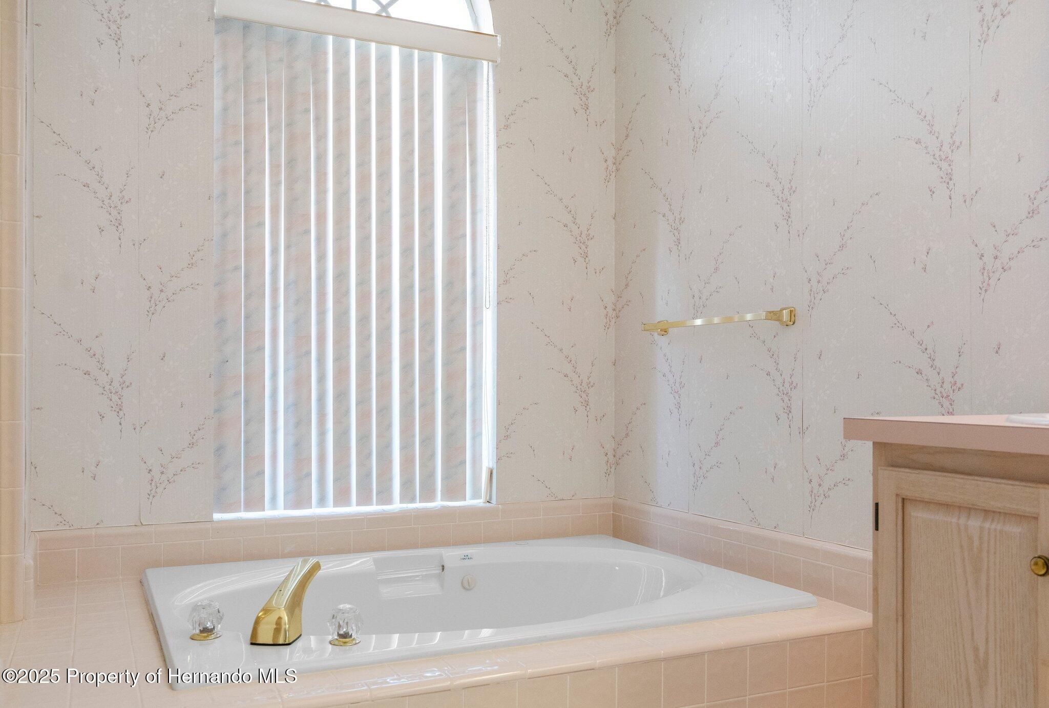 14356 Bronte Court, Hudson, Florida image 14