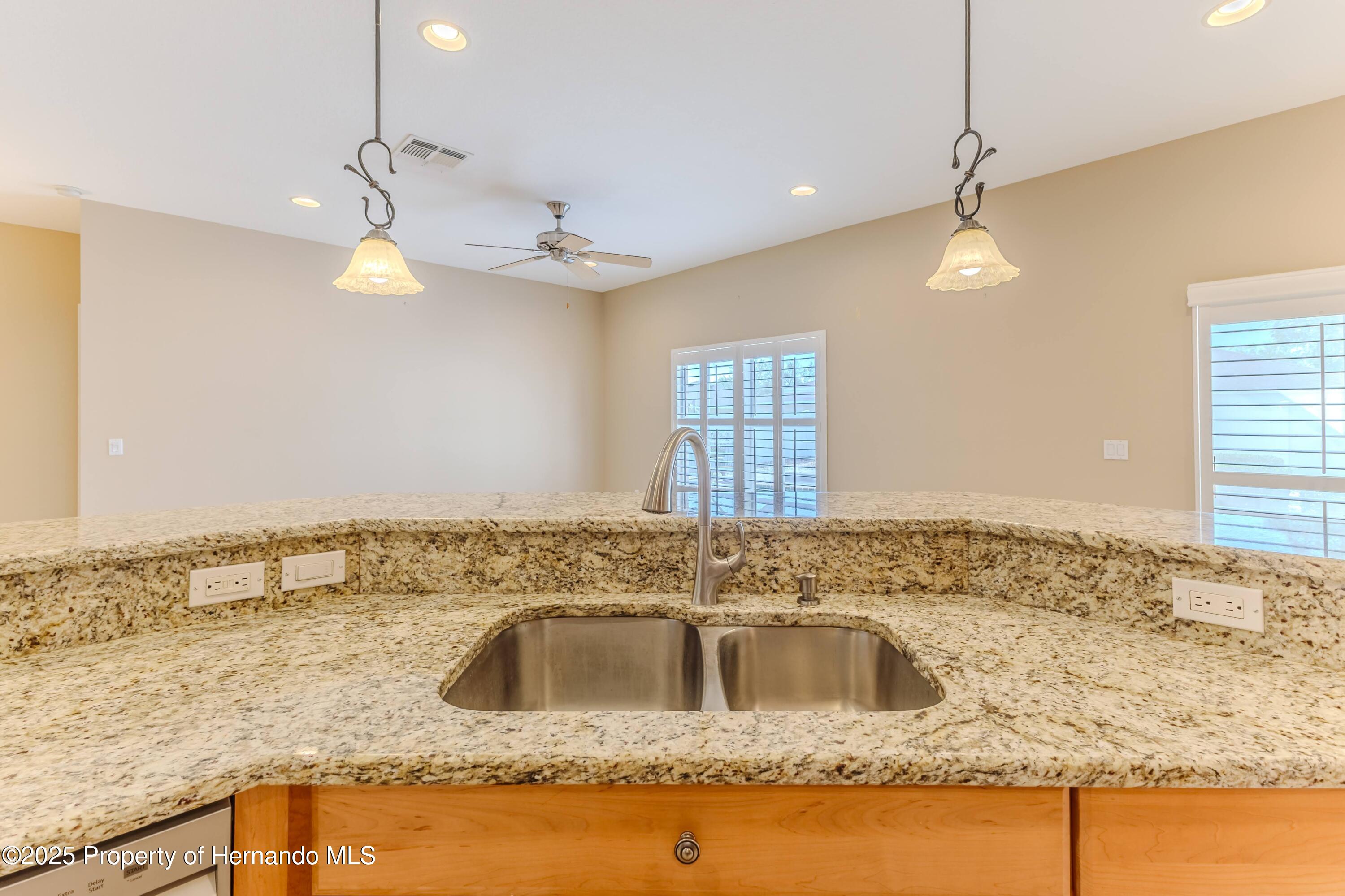 15132 Copper Loop, Brooksville, Florida image 16