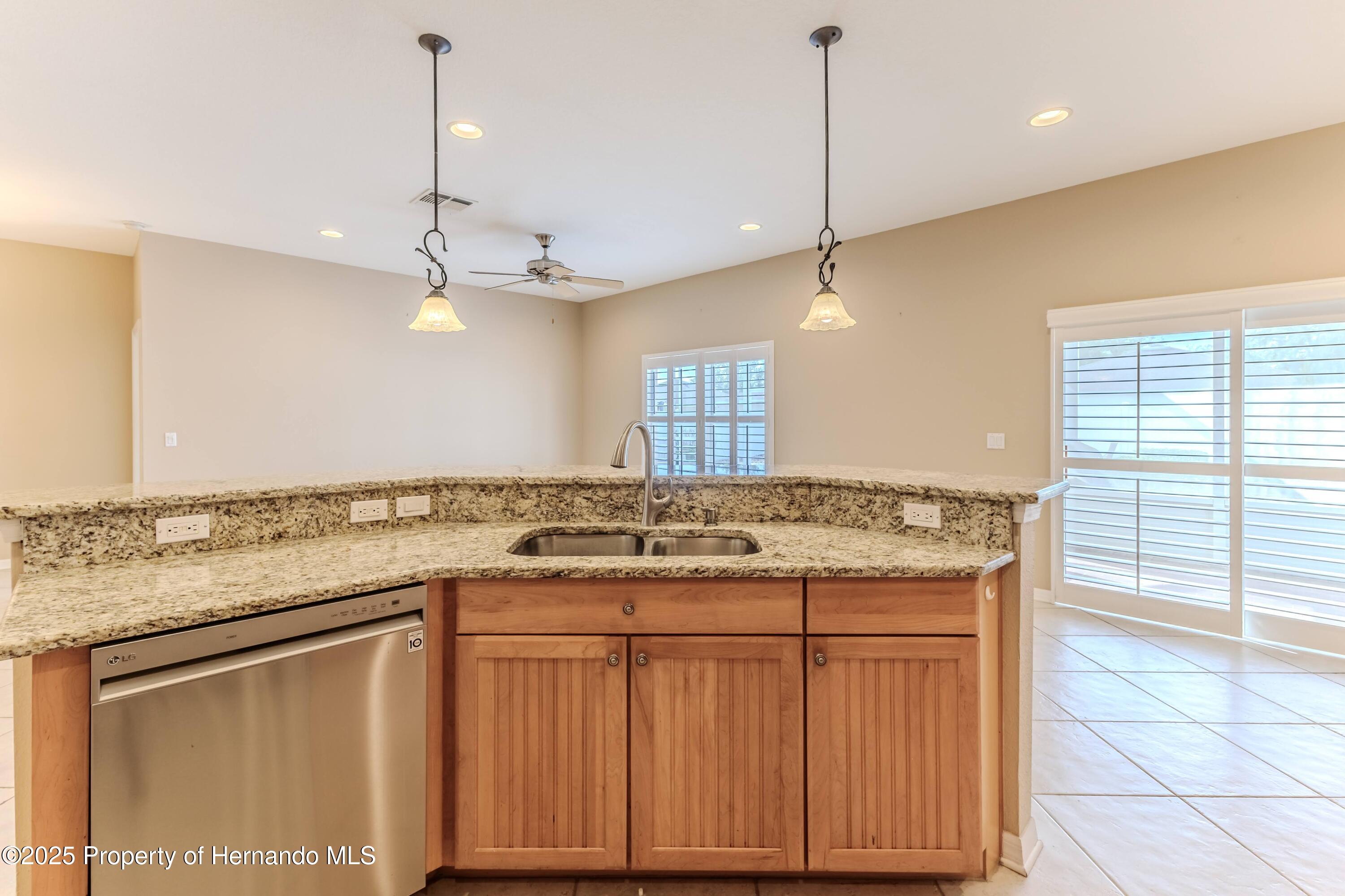 15132 Copper Loop, Brooksville, Florida image 15