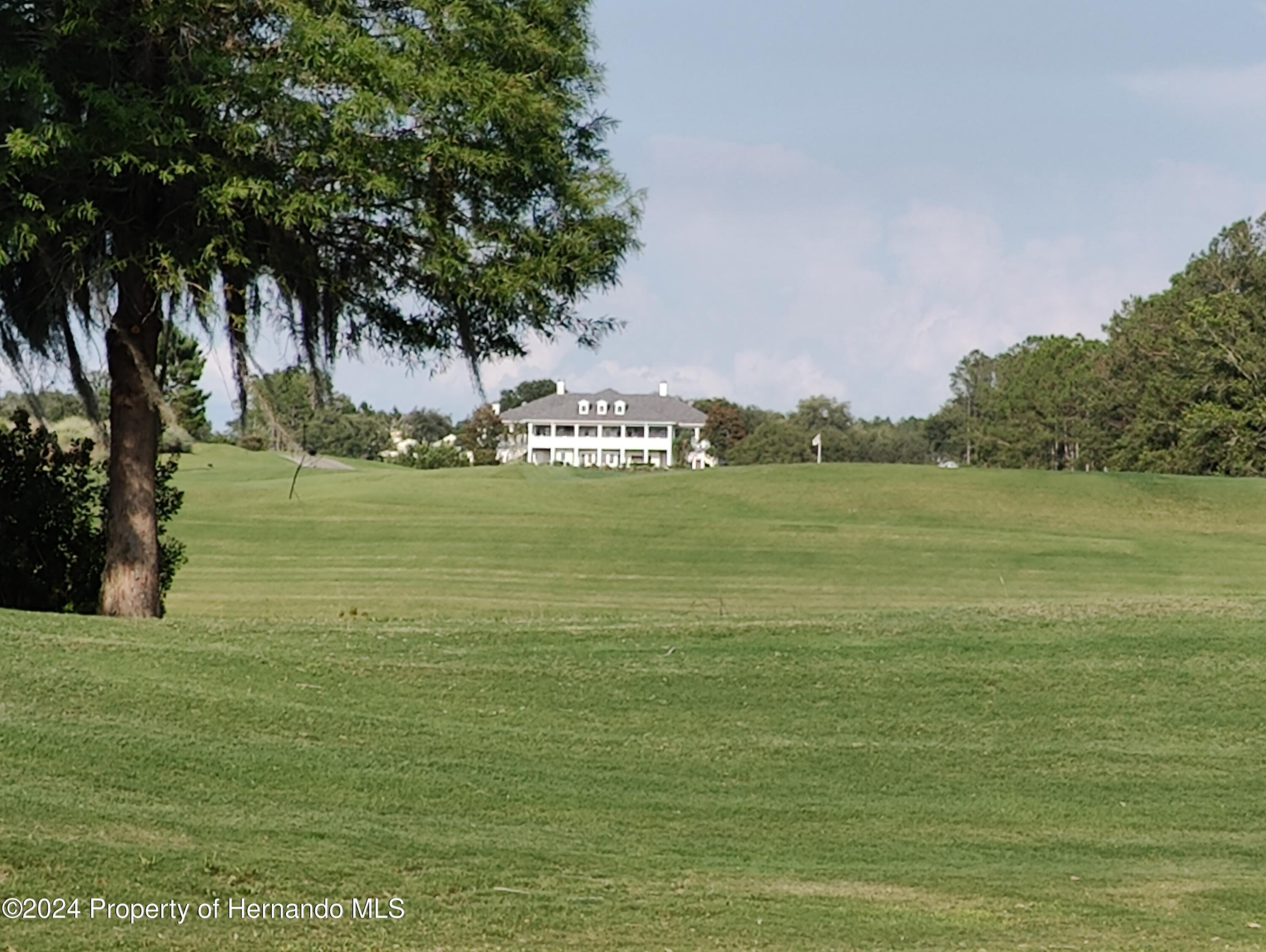 Brooksville, Florida 34601, United States, 4 Bedrooms Bedrooms, ,3 BathroomsBathrooms,Residential,Active,217447