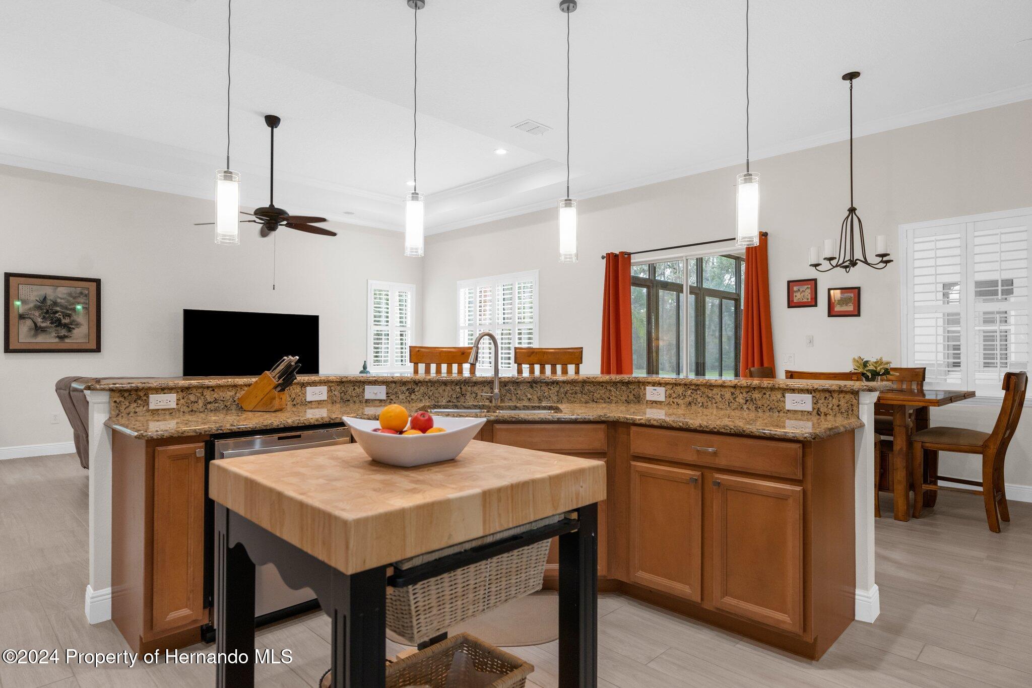 Brooksville, Florida 34601, United States, 4 Bedrooms Bedrooms, ,3 BathroomsBathrooms,Residential,Active,217447