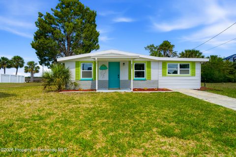 4021 Eagle Nest Drive Hernando Beach FL 34607