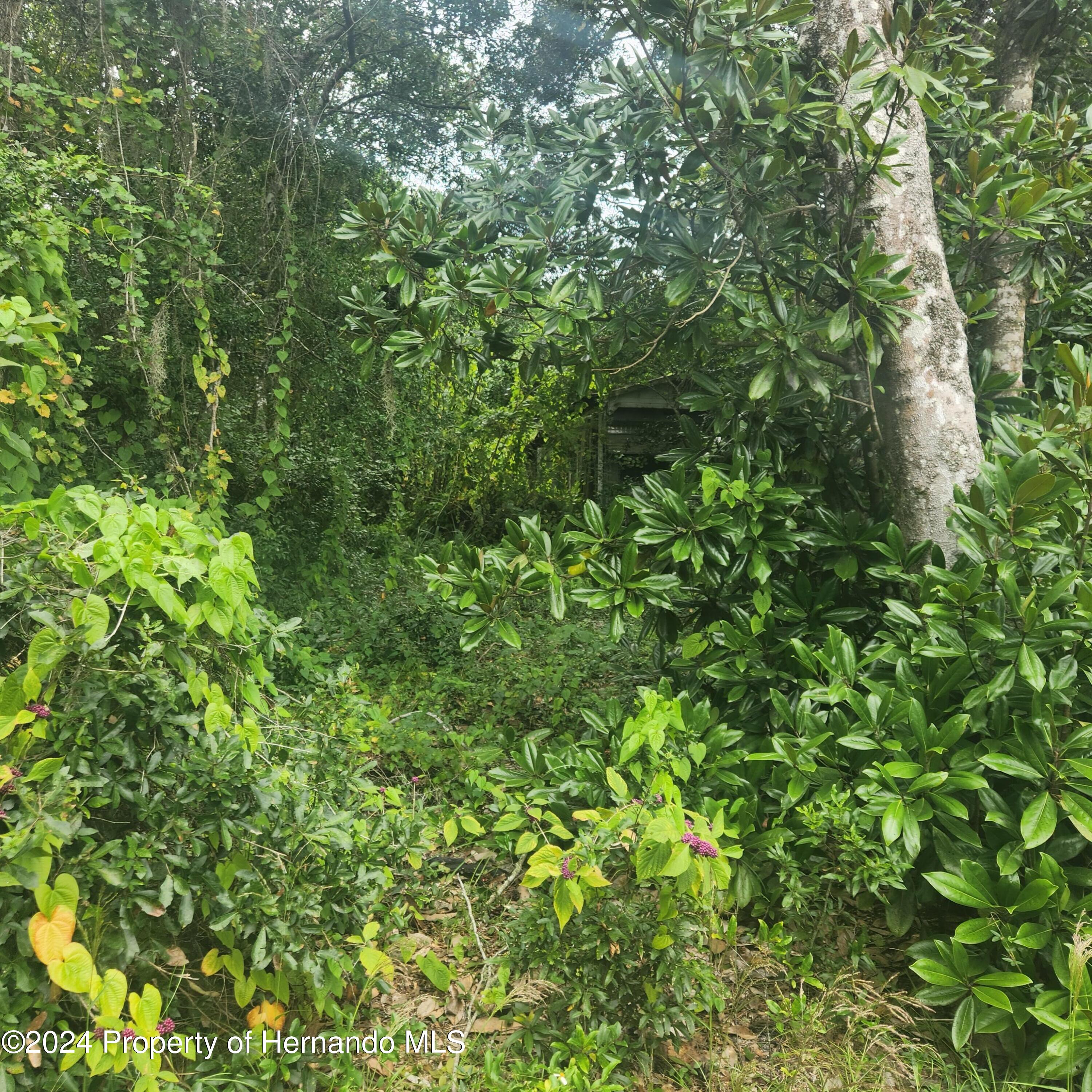 6366 S Dolphin Drive, Floral City, Florida image 1