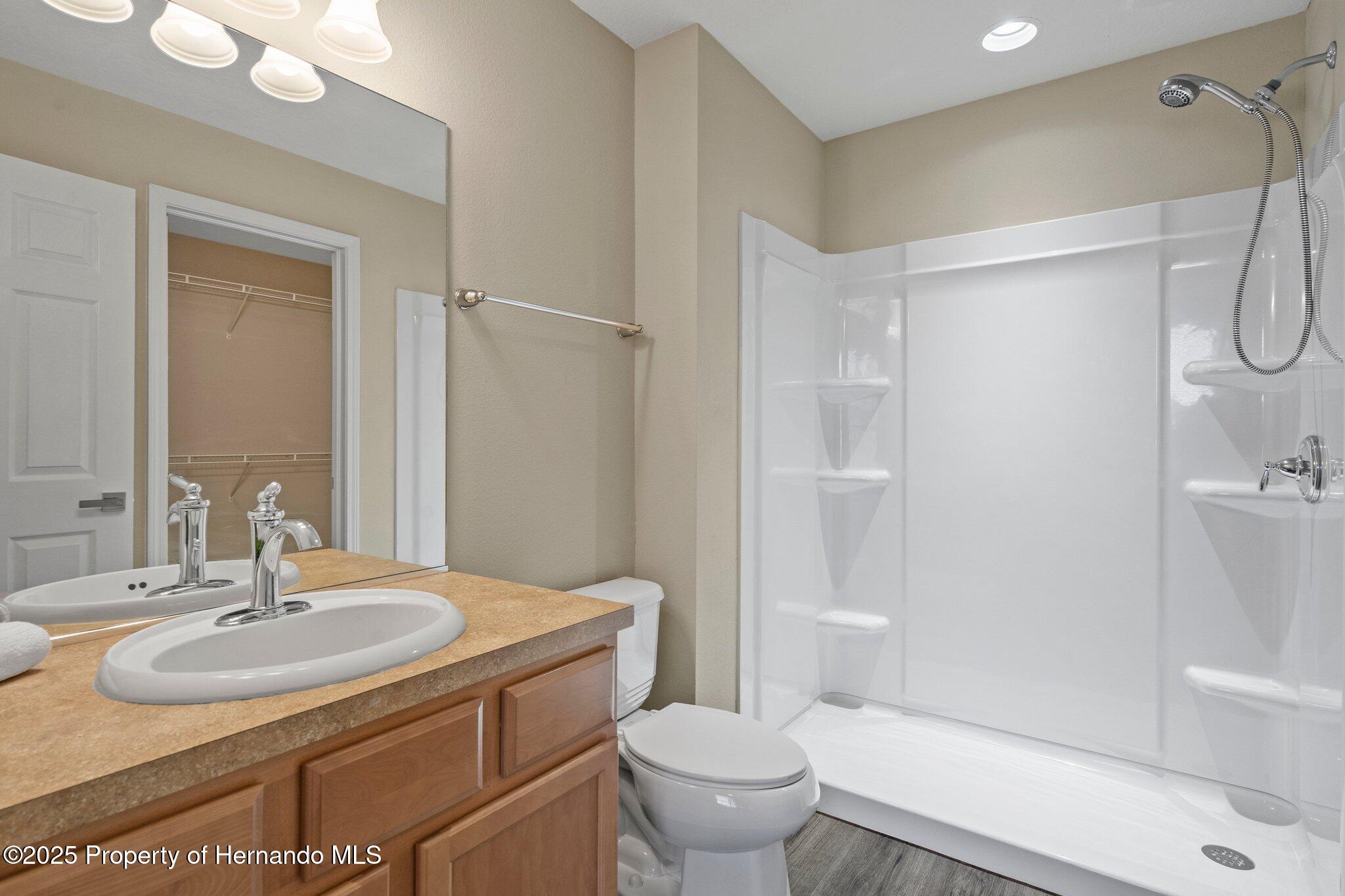 767 Alpine Thistle Drive, Brooksville, Florida image 18