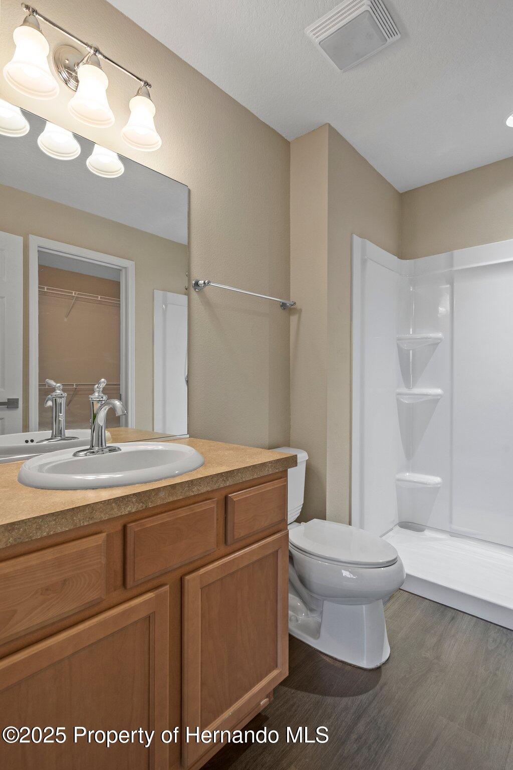 767 Alpine Thistle Drive, Brooksville, Florida image 19