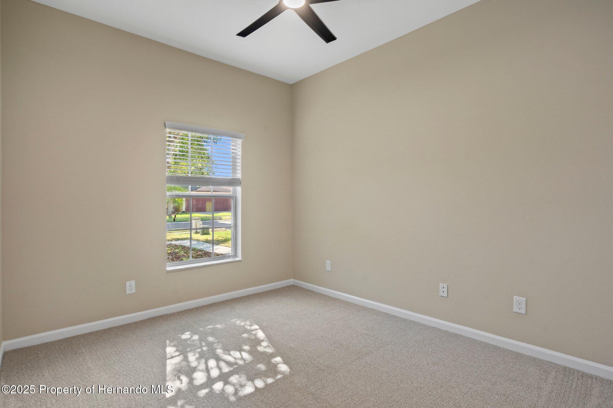 767 Alpine Thistle Drive, Brooksville, Florida image 27