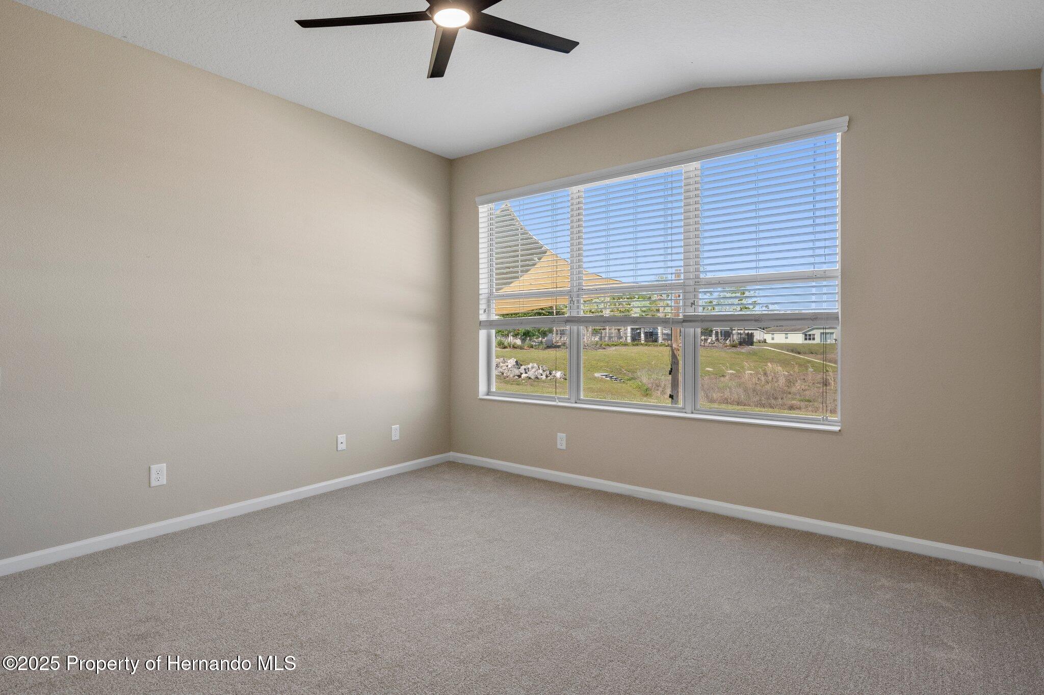 767 Alpine Thistle Drive, Brooksville, Florida image 16