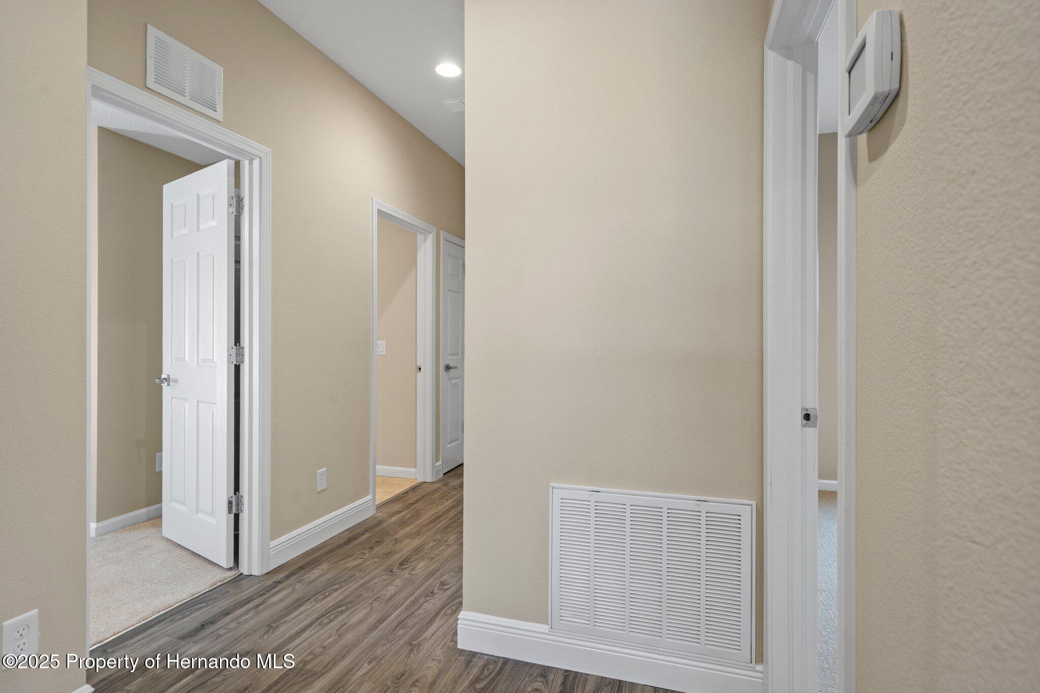 767 Alpine Thistle Drive, Brooksville, Florida image 21