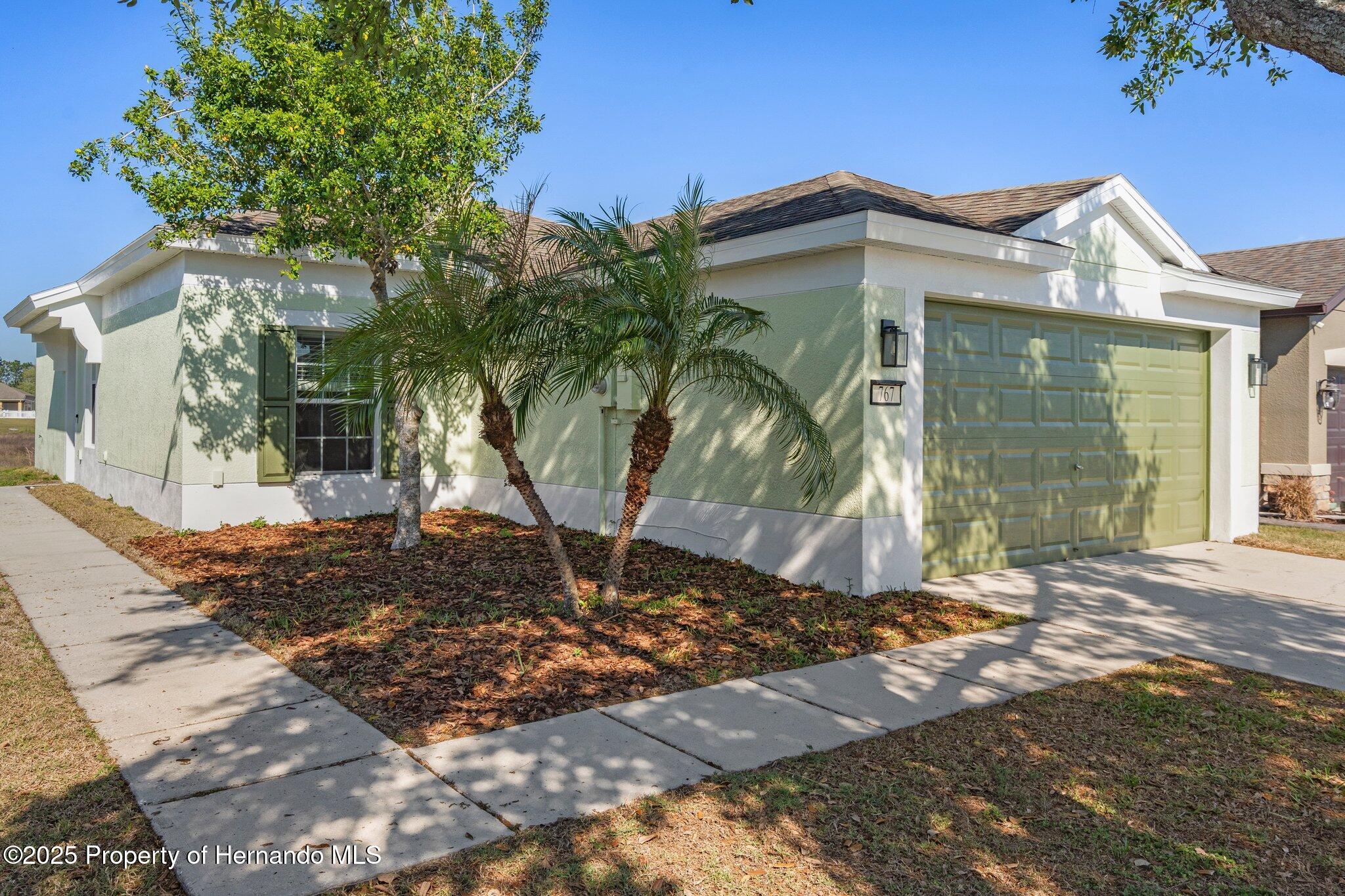 767 Alpine Thistle Drive, Brooksville, Florida image 4