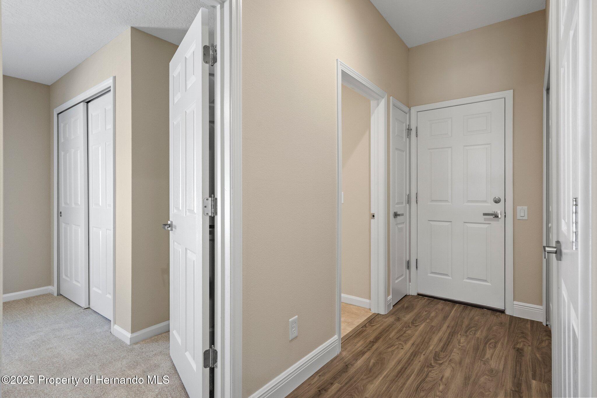 767 Alpine Thistle Drive, Brooksville, Florida image 20