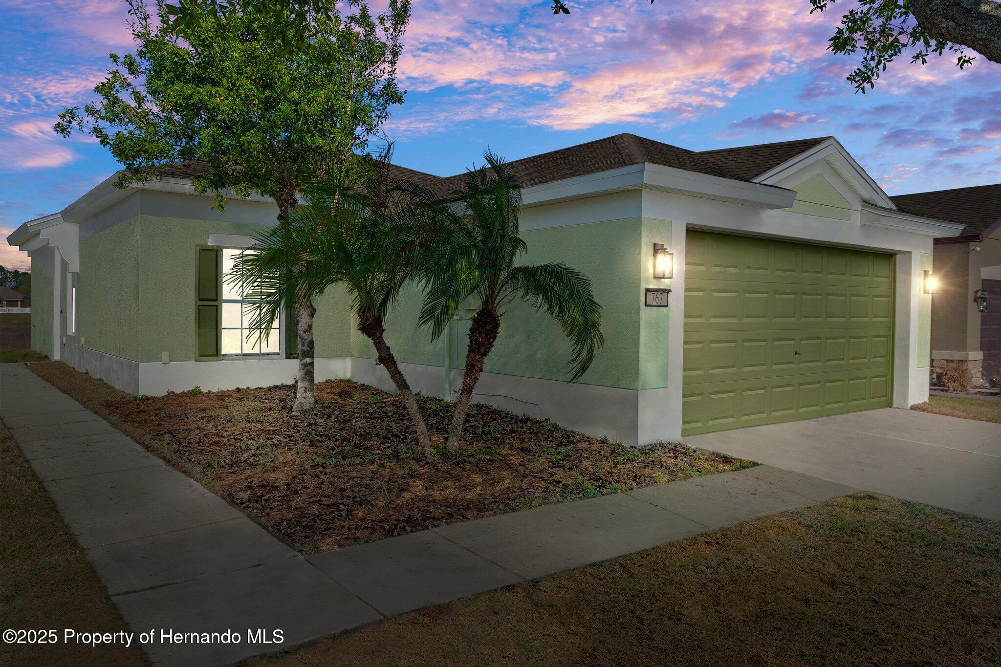 767 Alpine Thistle Drive, Brooksville, Florida image 31