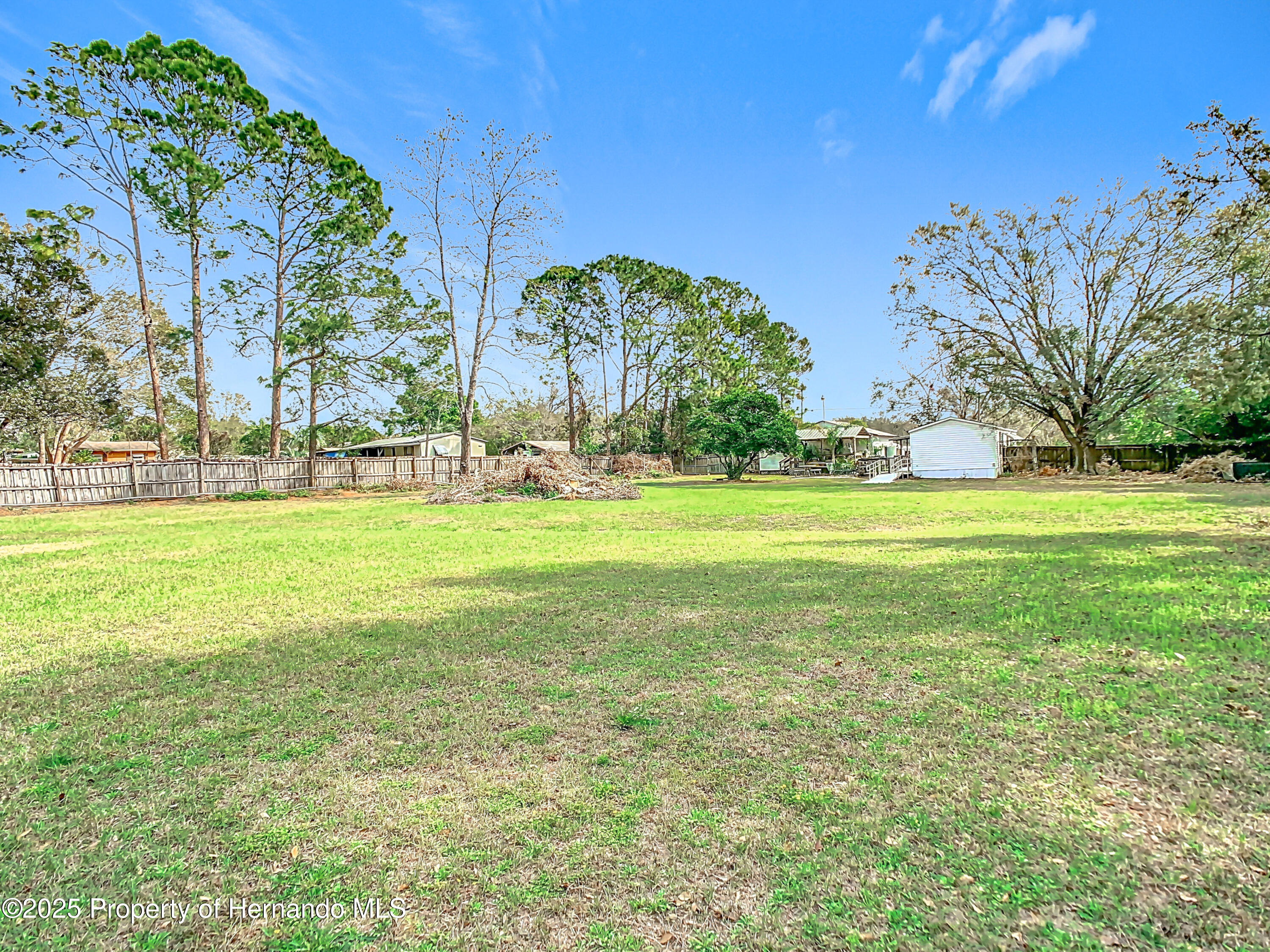 8523 Hamster Drive, Zephyrhills, Florida image 35