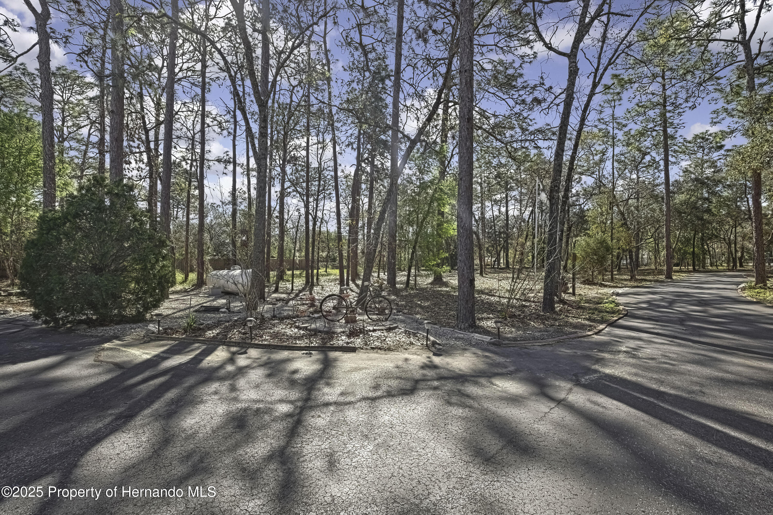 9019 Long Lake Avenue, Weeki Wachee, Florida image 50