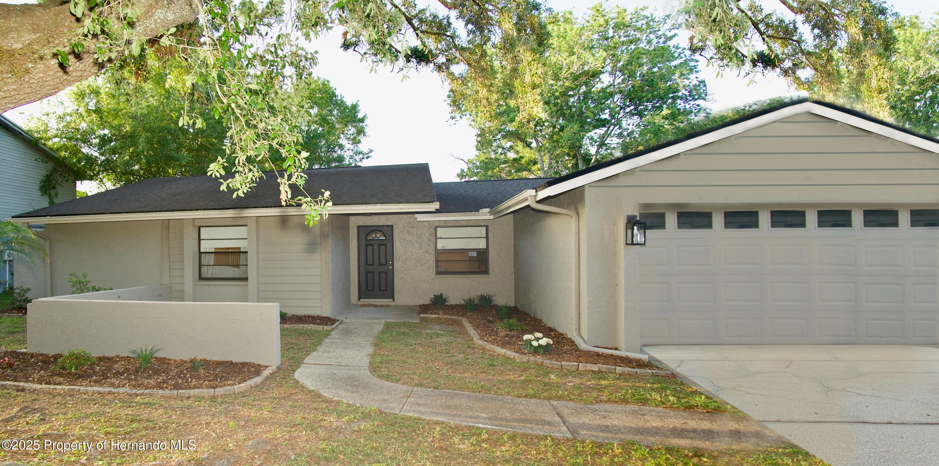 4605 Freshwind Avenue, Tampa, Florida image 1