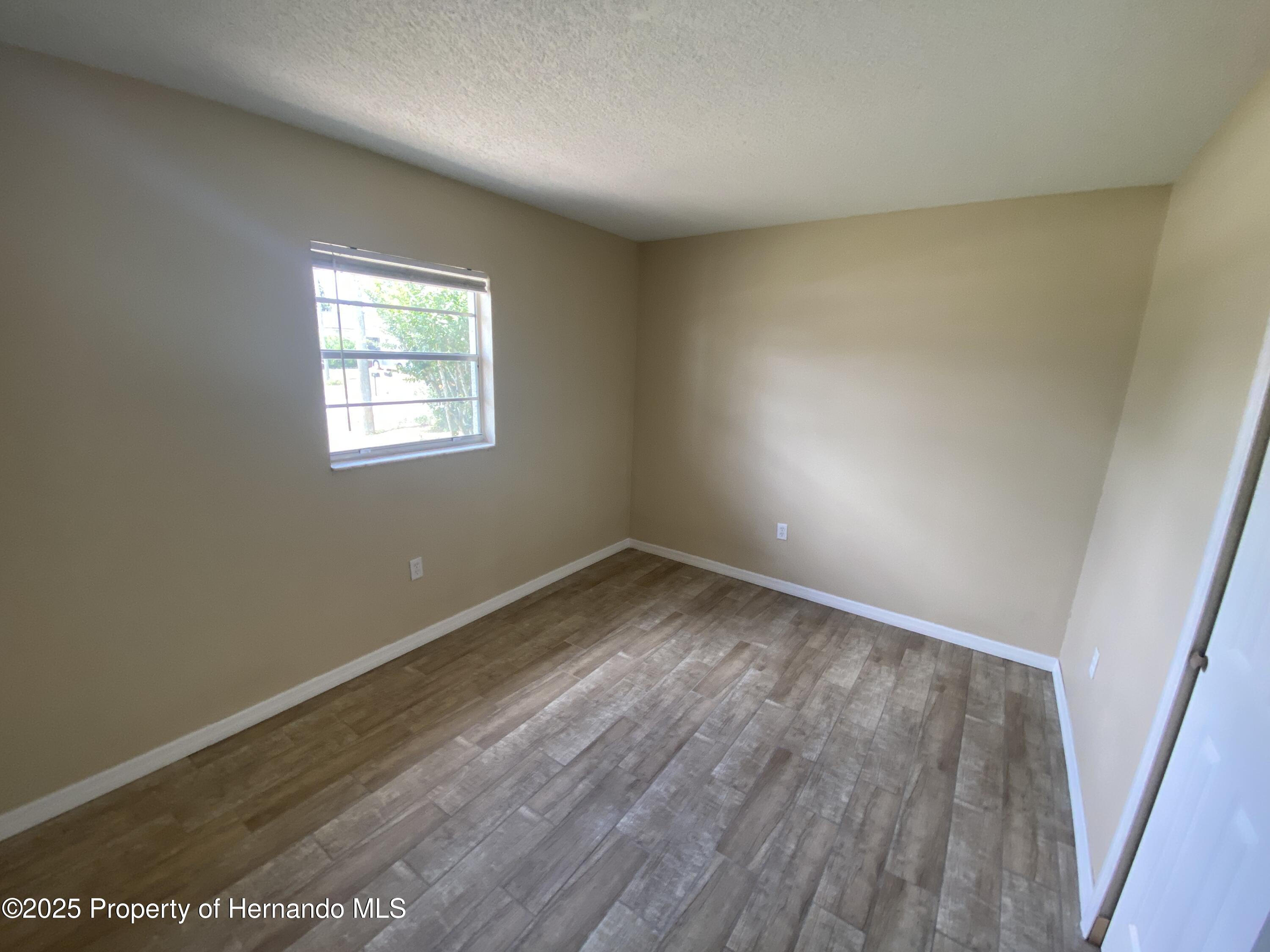 11392 Beechdale Avenue, Spring Hill, Florida image 13